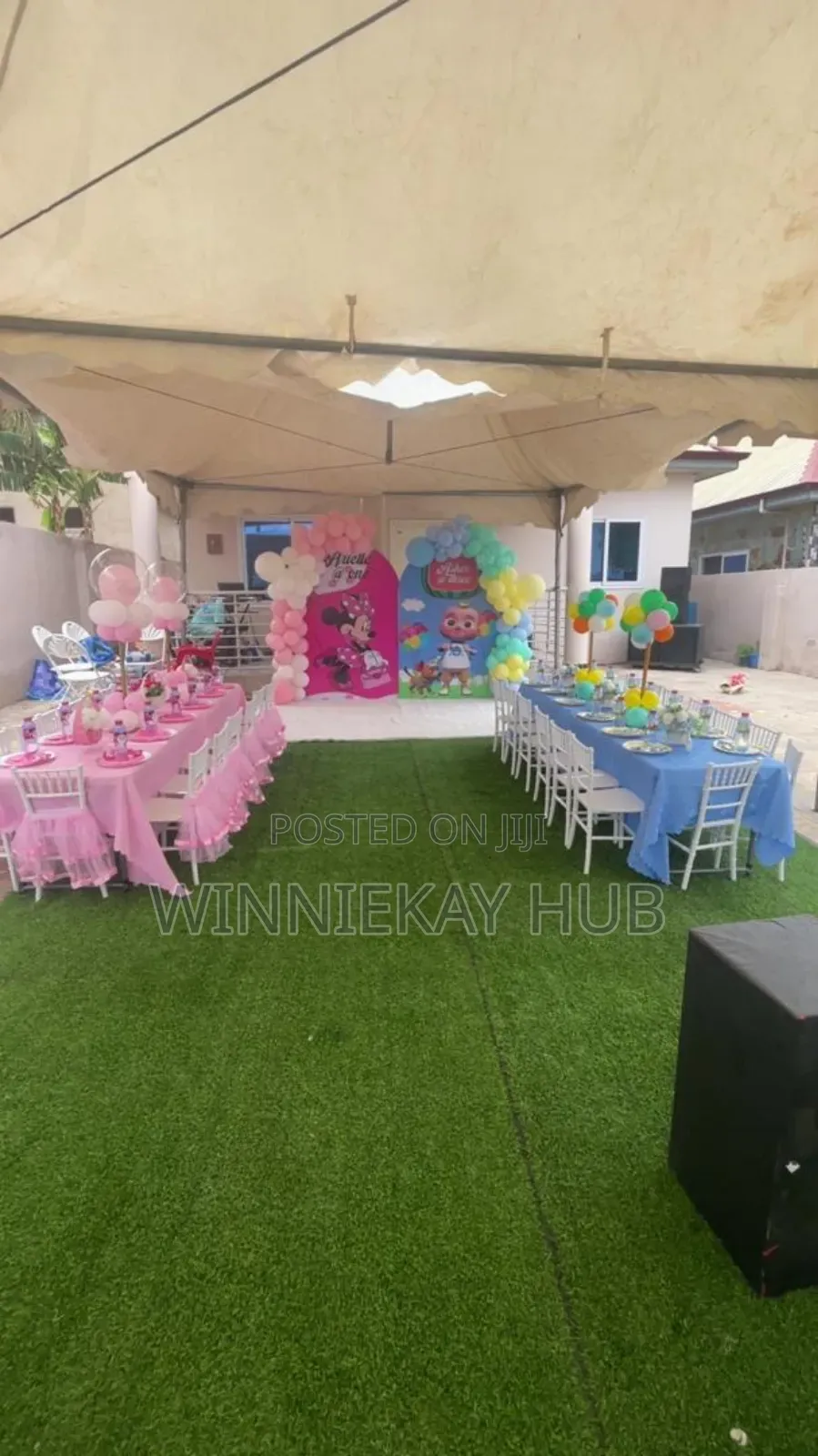 Birthday Party Decorations