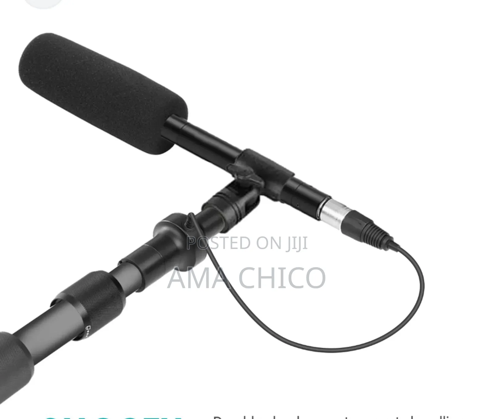 Professional Boom Mic