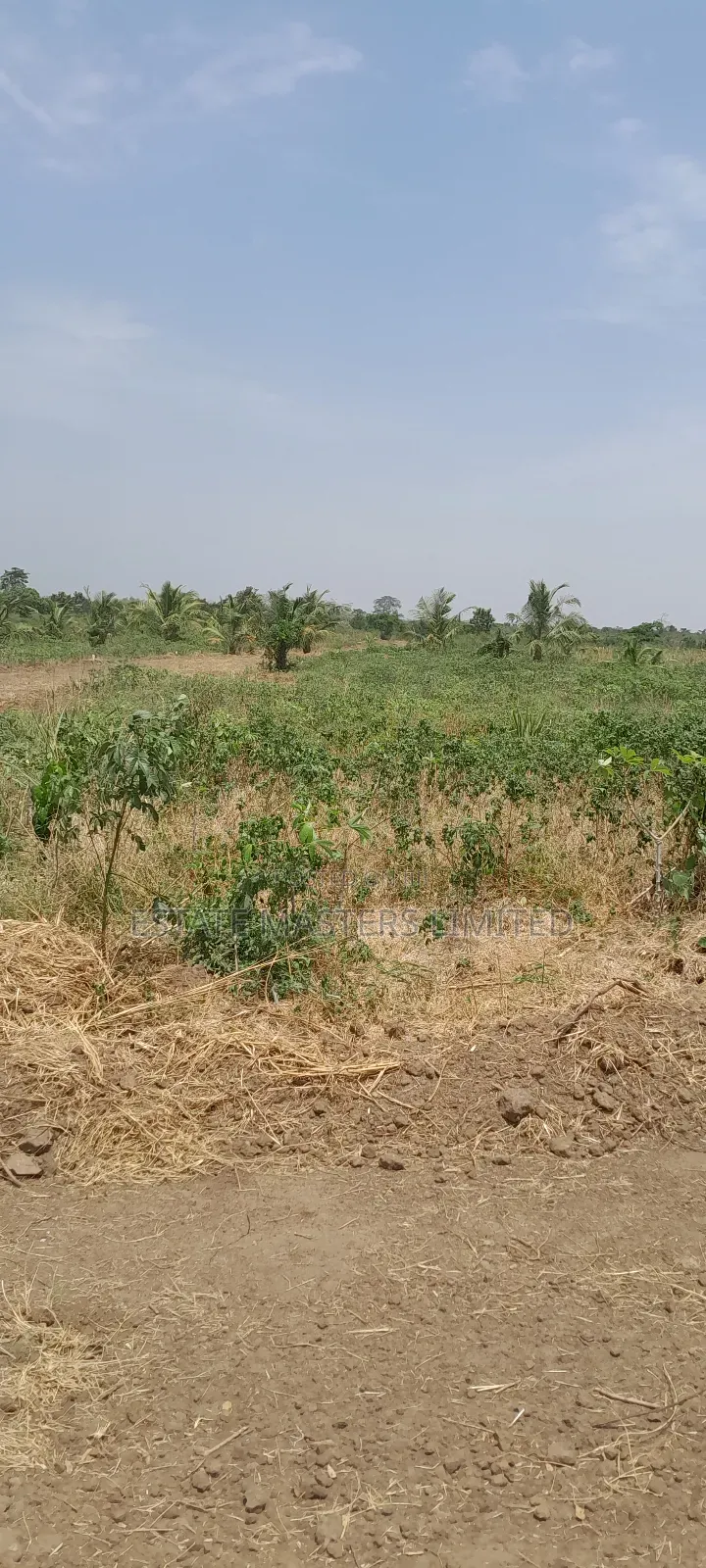Your Land Plug With Special Plots Registered for You