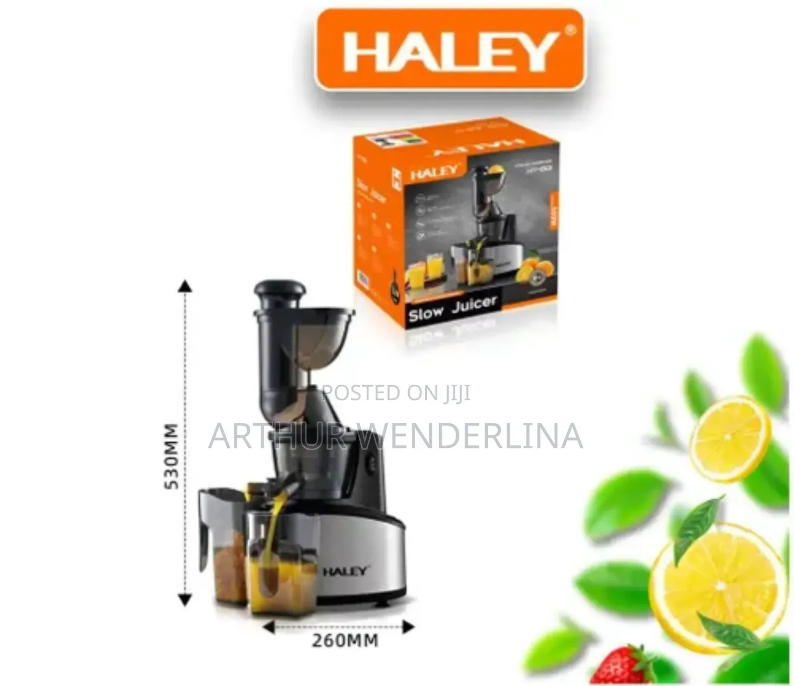 Haley Slow Juicer 500watt