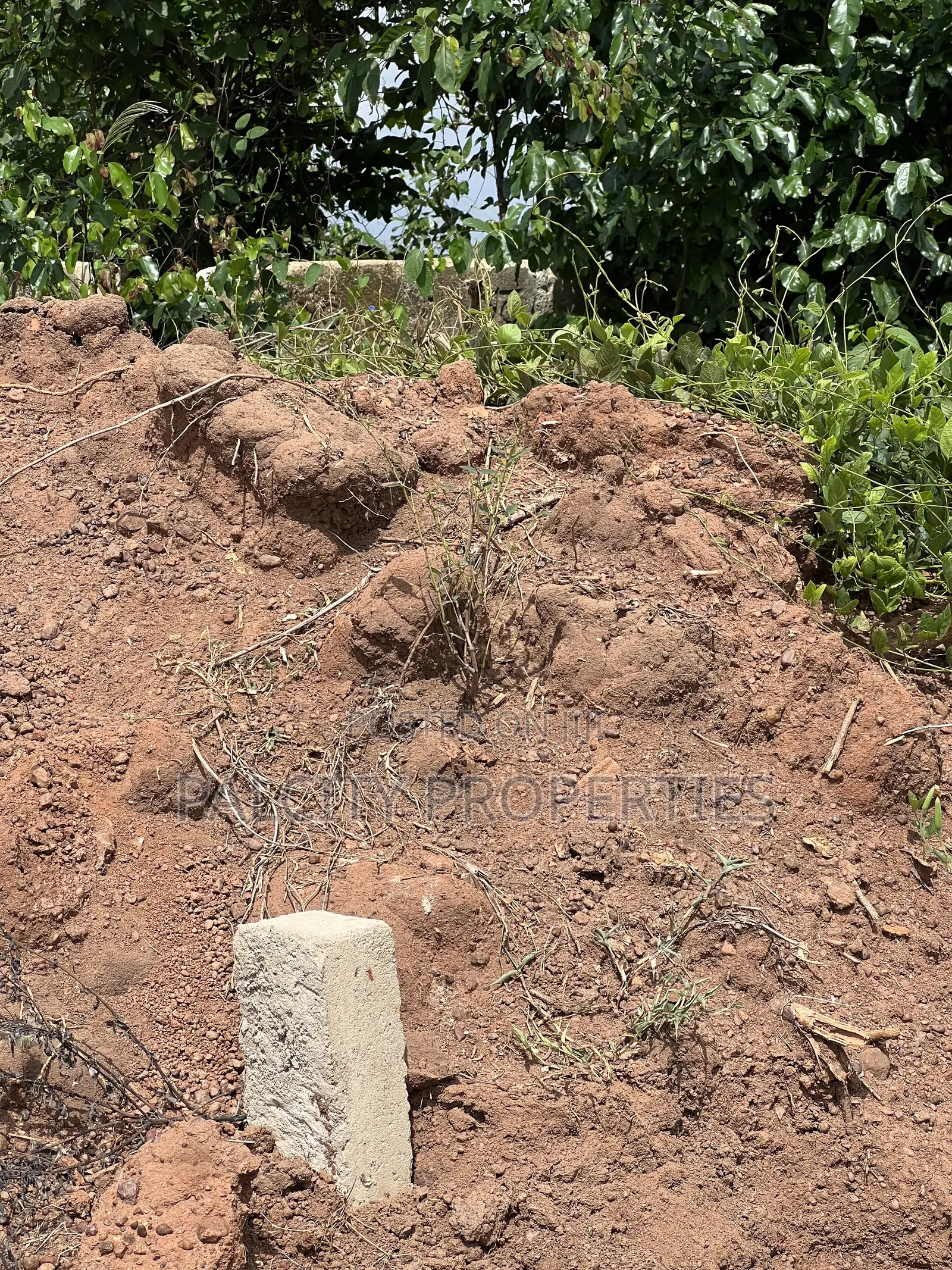 Full Plot of Land for Sale in Esereso Adagya