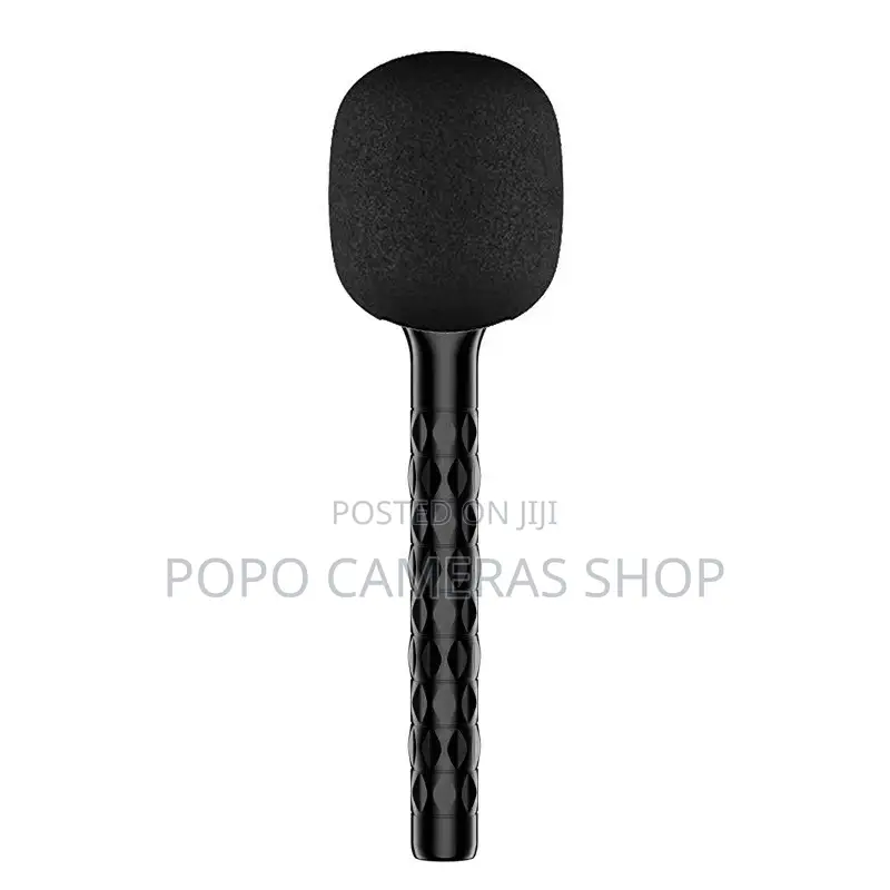 Wireless Handheld Microphone Stick