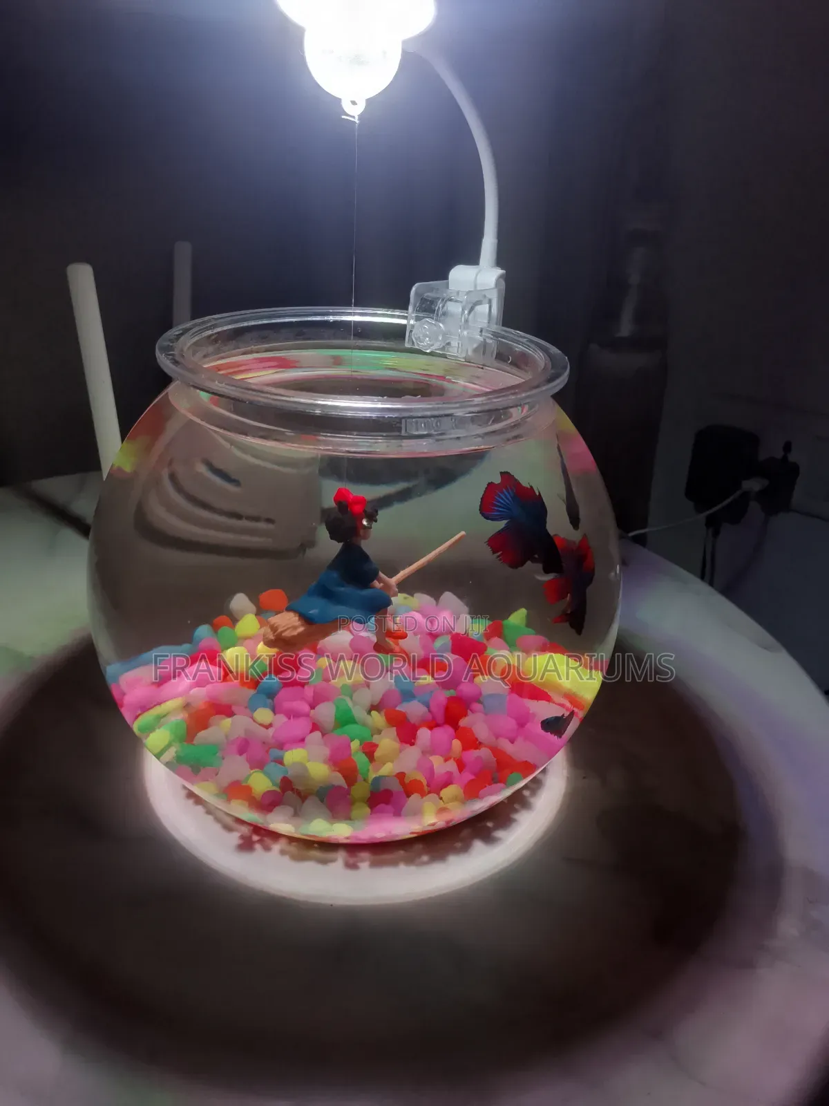 Mini Aquarium Bowl
