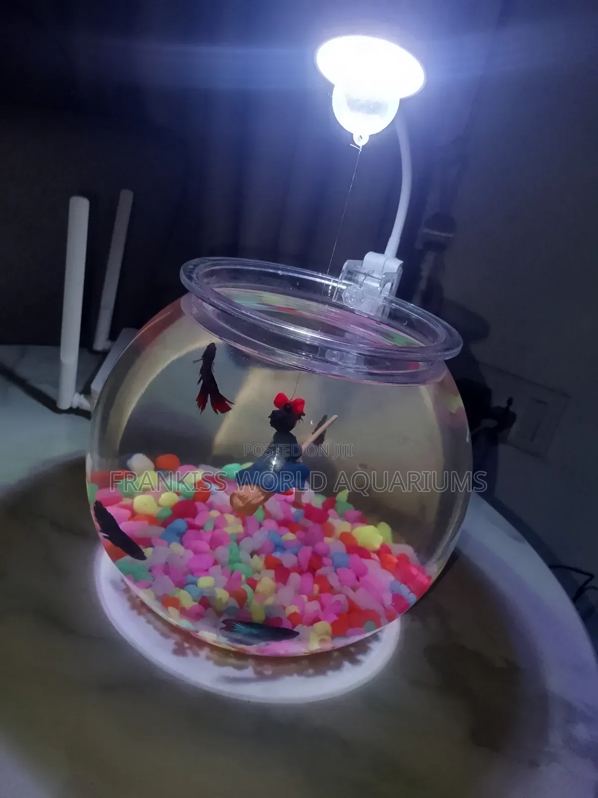 Mini Aquarium Bowl