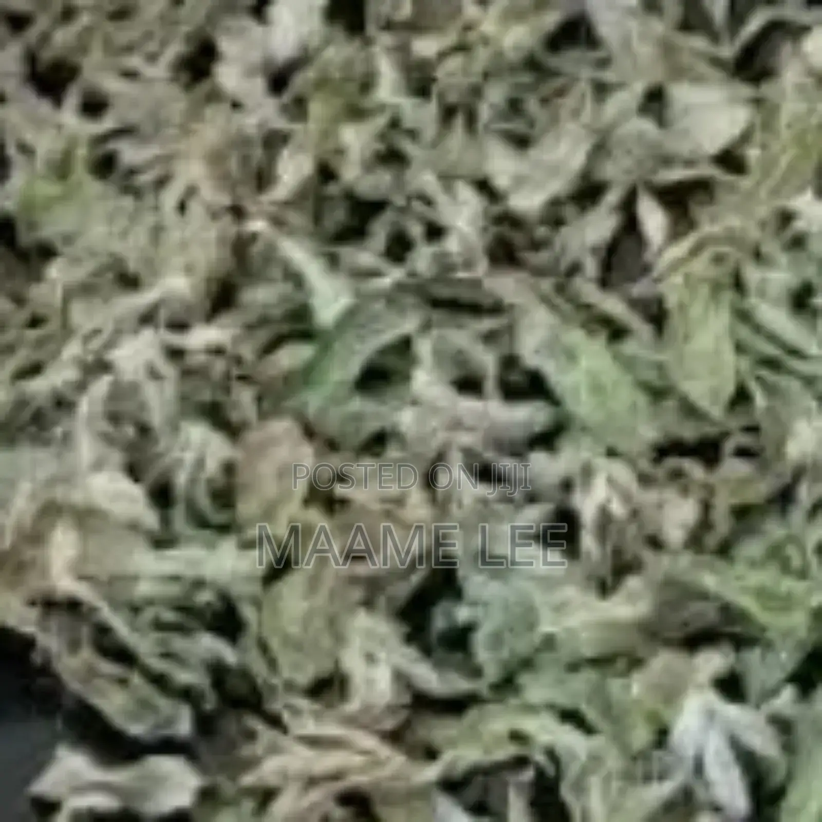 Organic Dry Mint Leaves