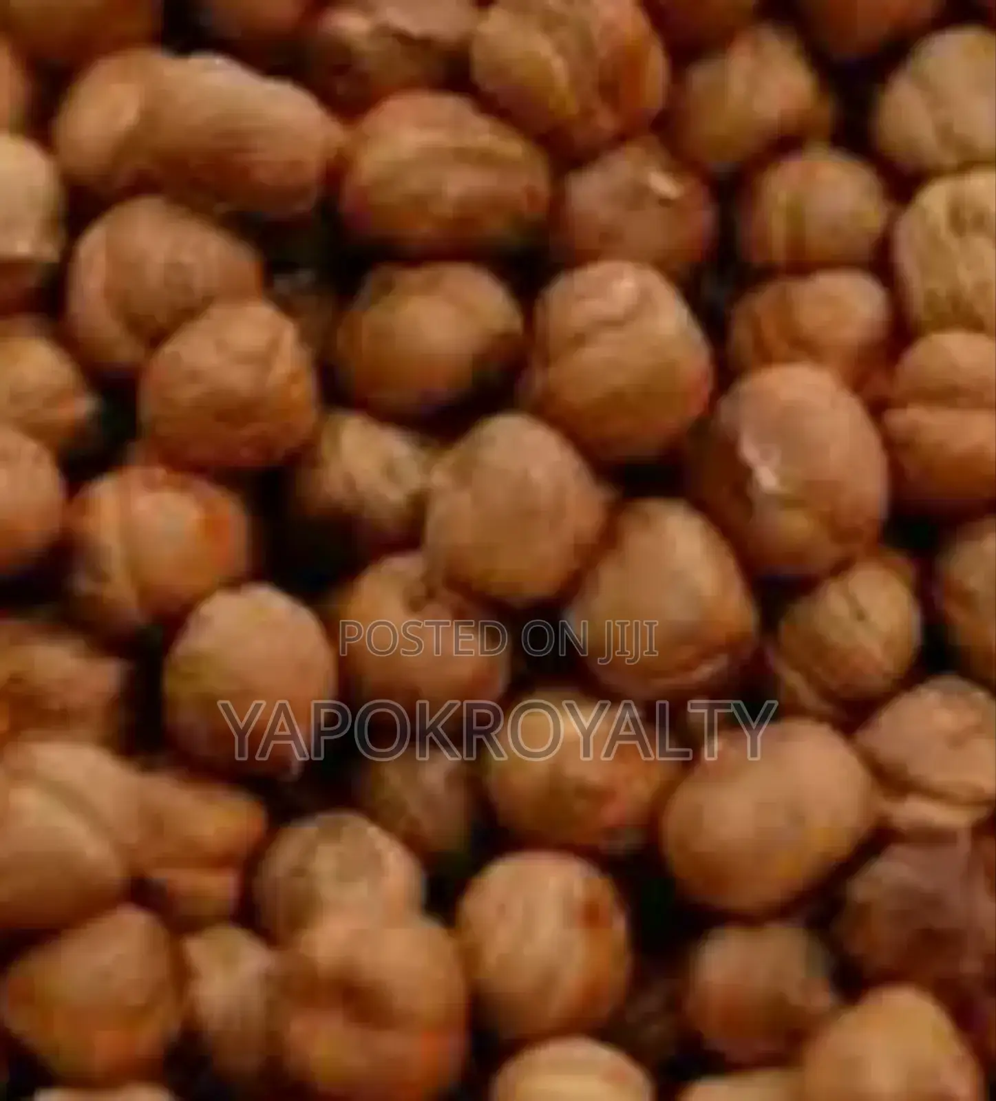 Organic Hazel Nut