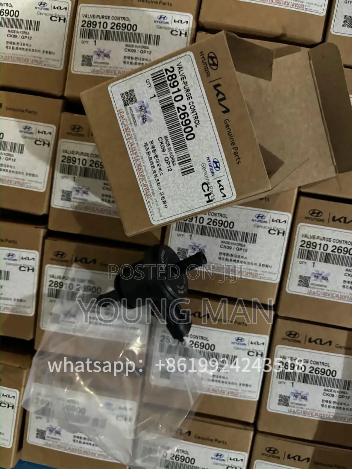 Hyundai Elanta, Acent, Sonata, Santafe Petch Valve