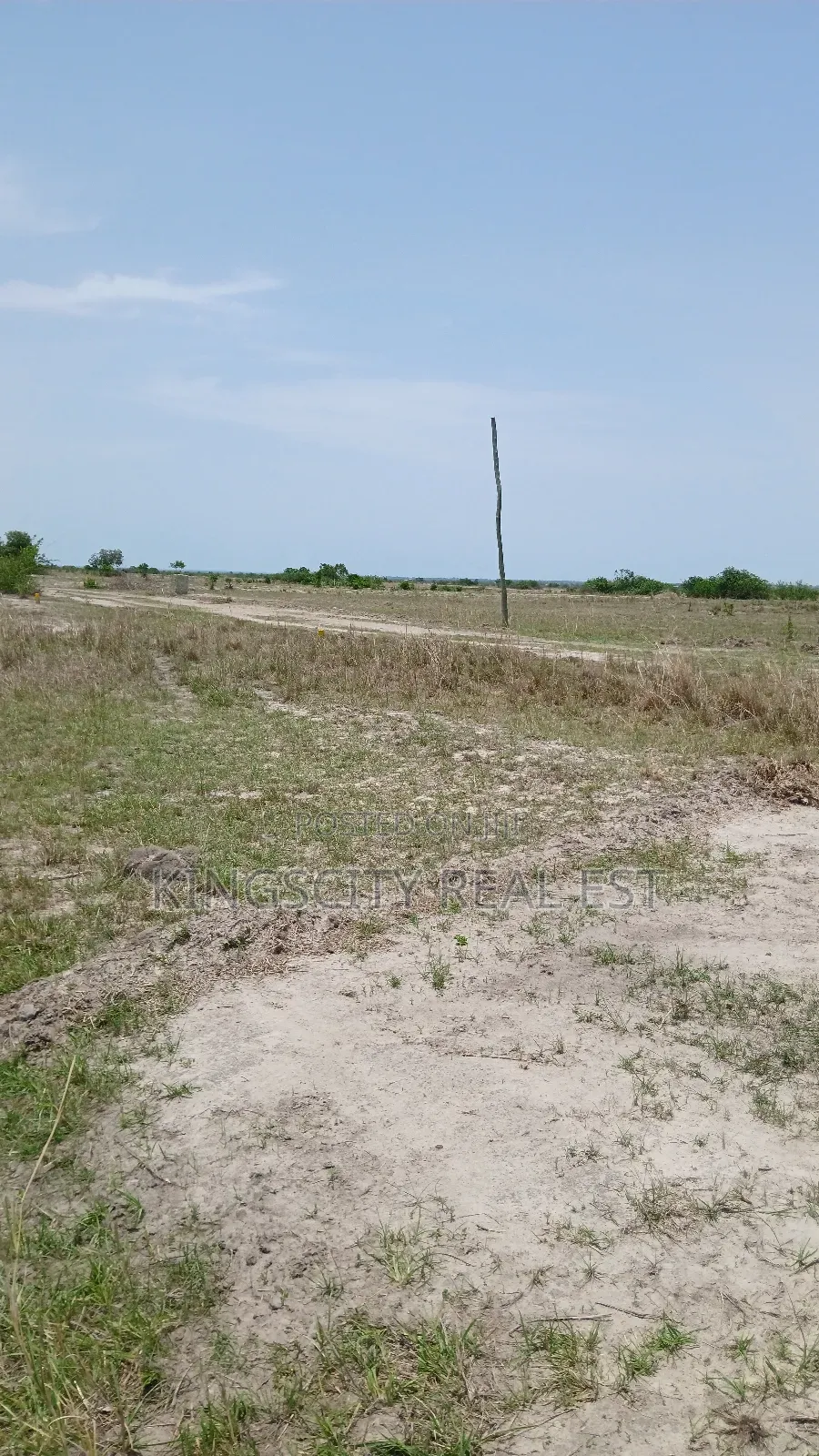 Profitable Land for Sale at Tsopoli