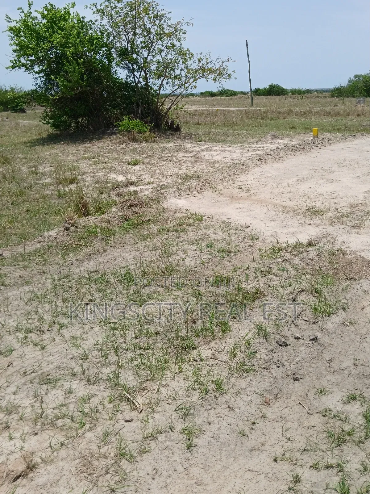 Well Structured Community Land at Tsopoli for Sale
