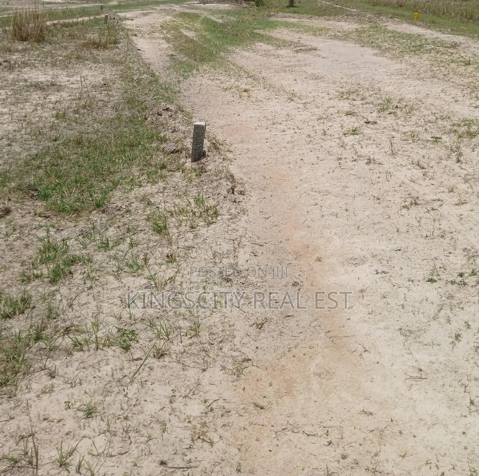 Invest in Our Lands Now at Tsopoli