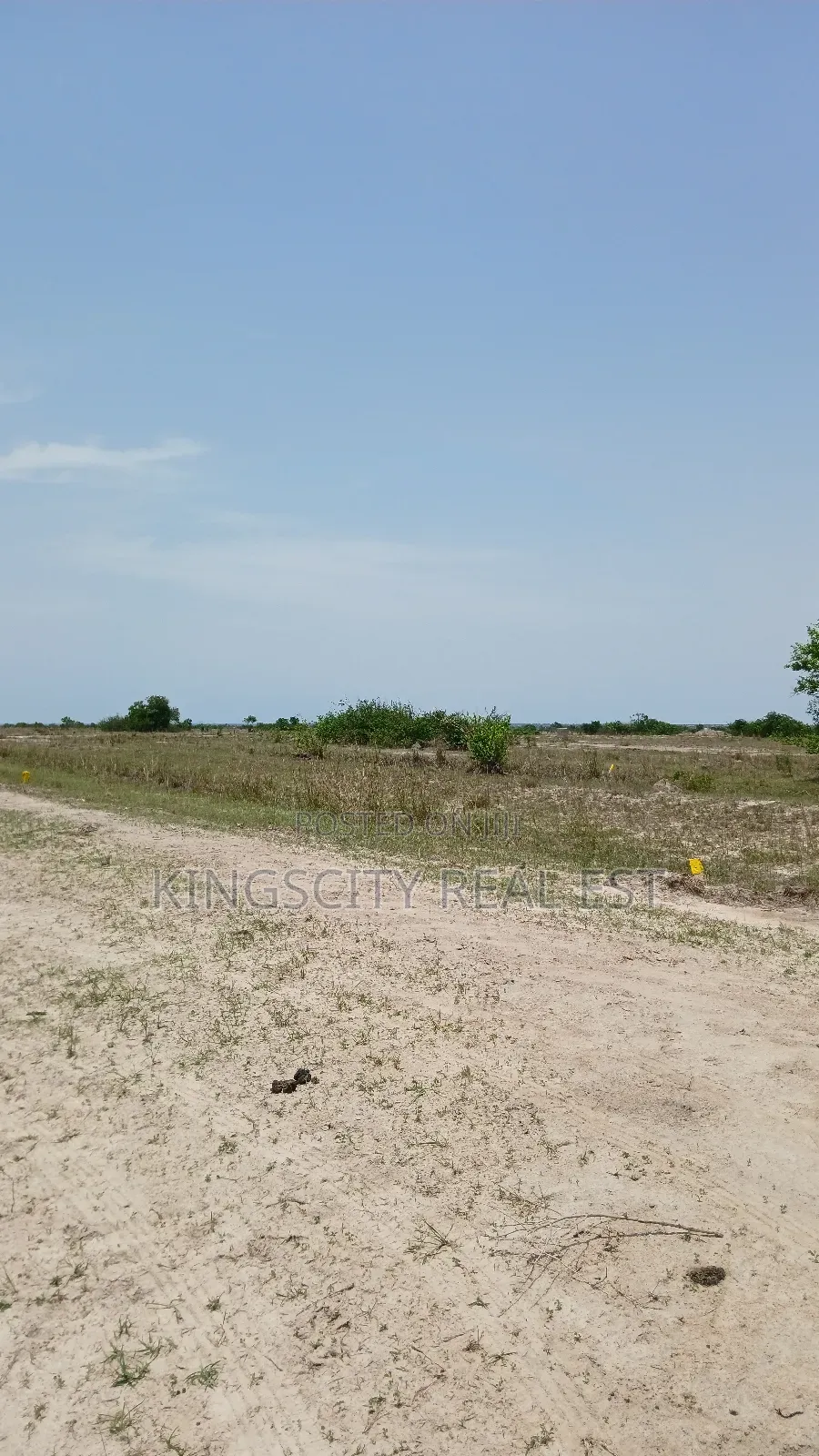 Plain Land for Sale at Tsopoli