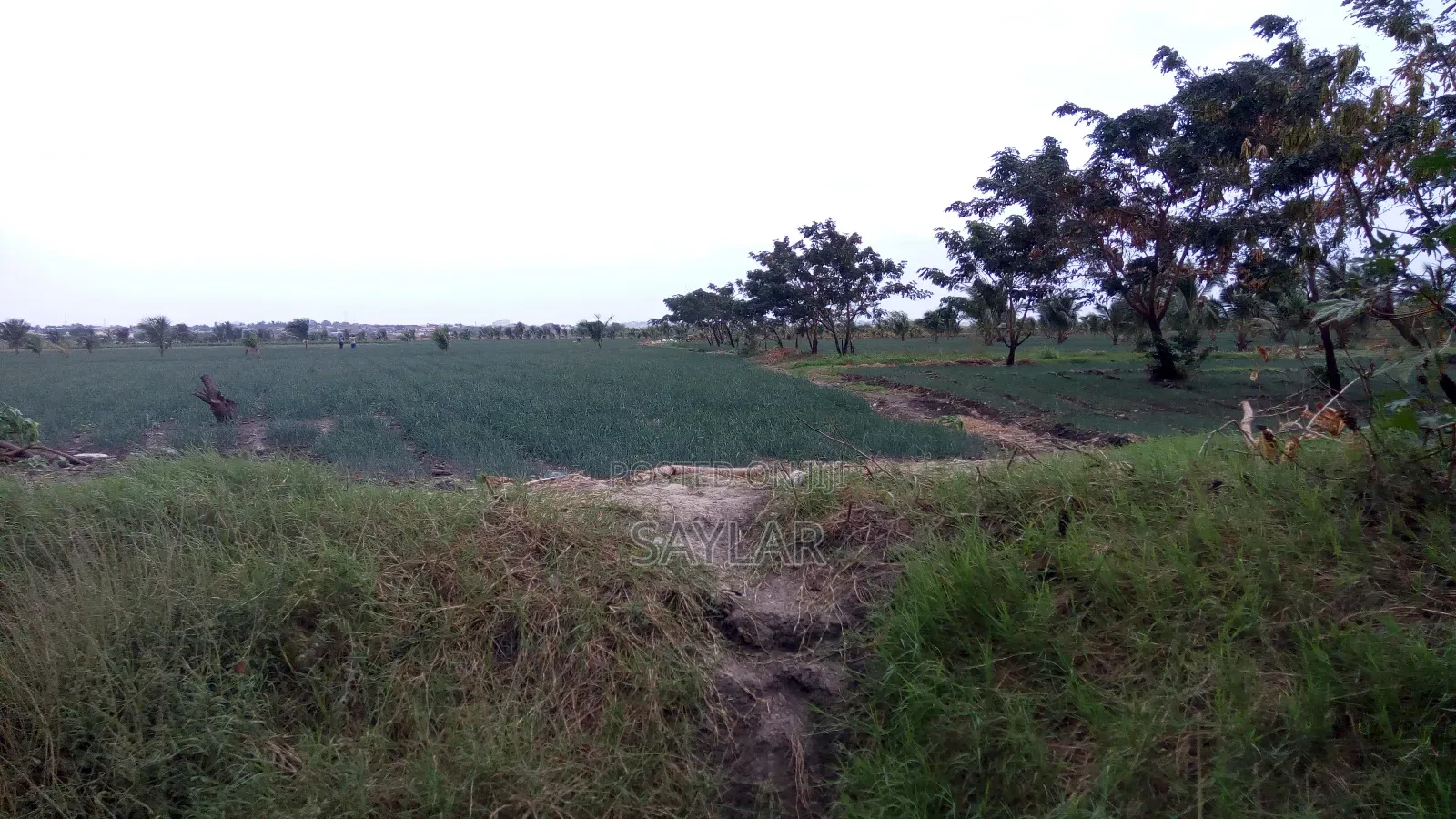 Farm Lands For Long Lease And Sale