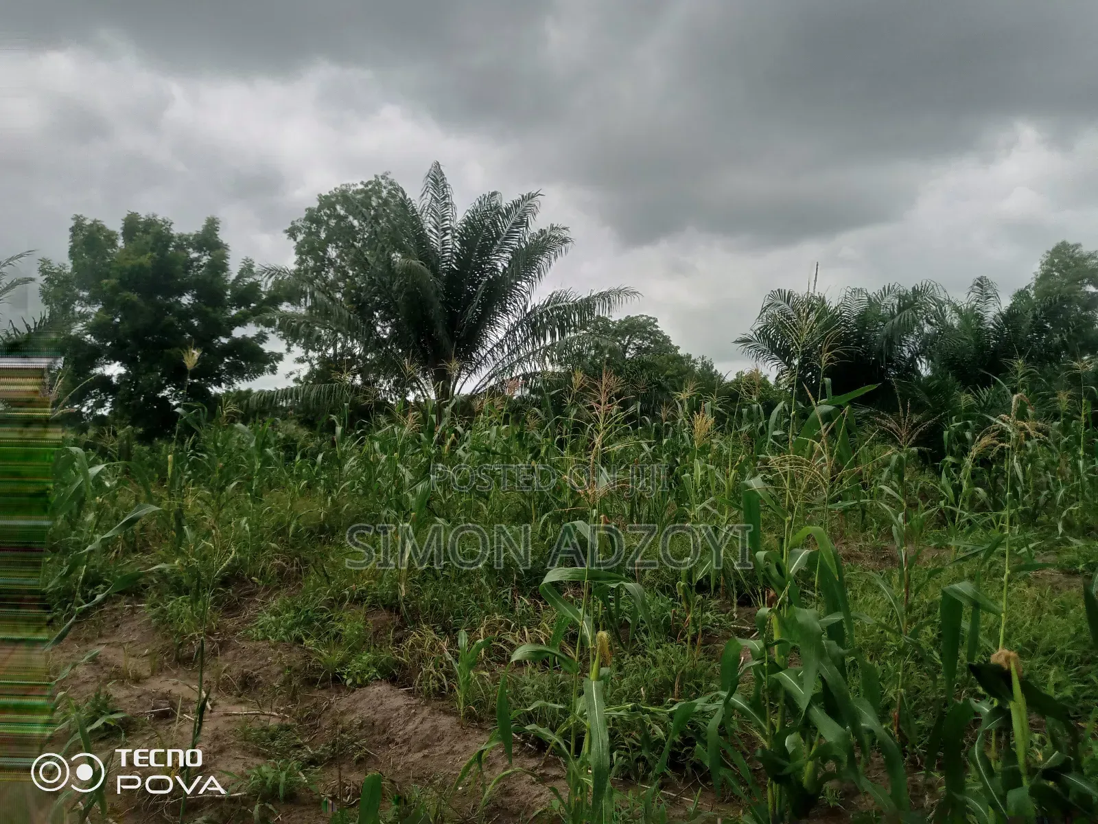 1000 Acres Available for Long Term Lease