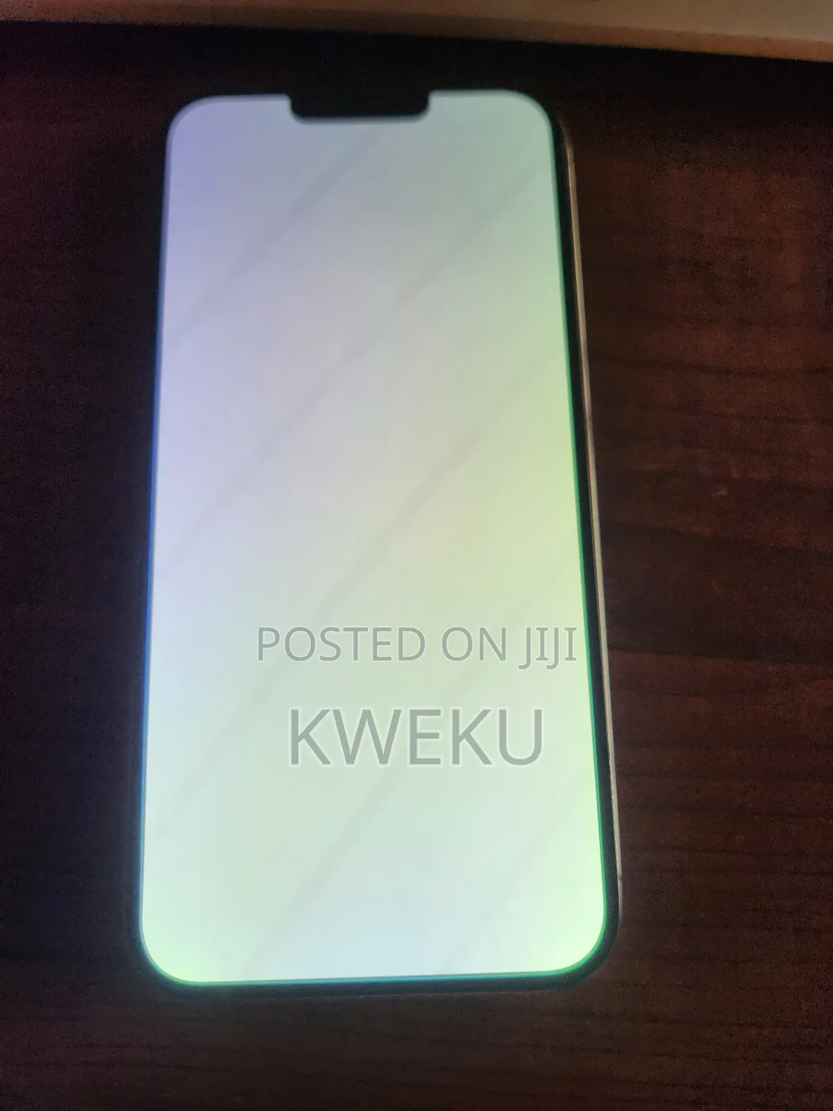 iPhone 13 Pro Max White Screen Fix