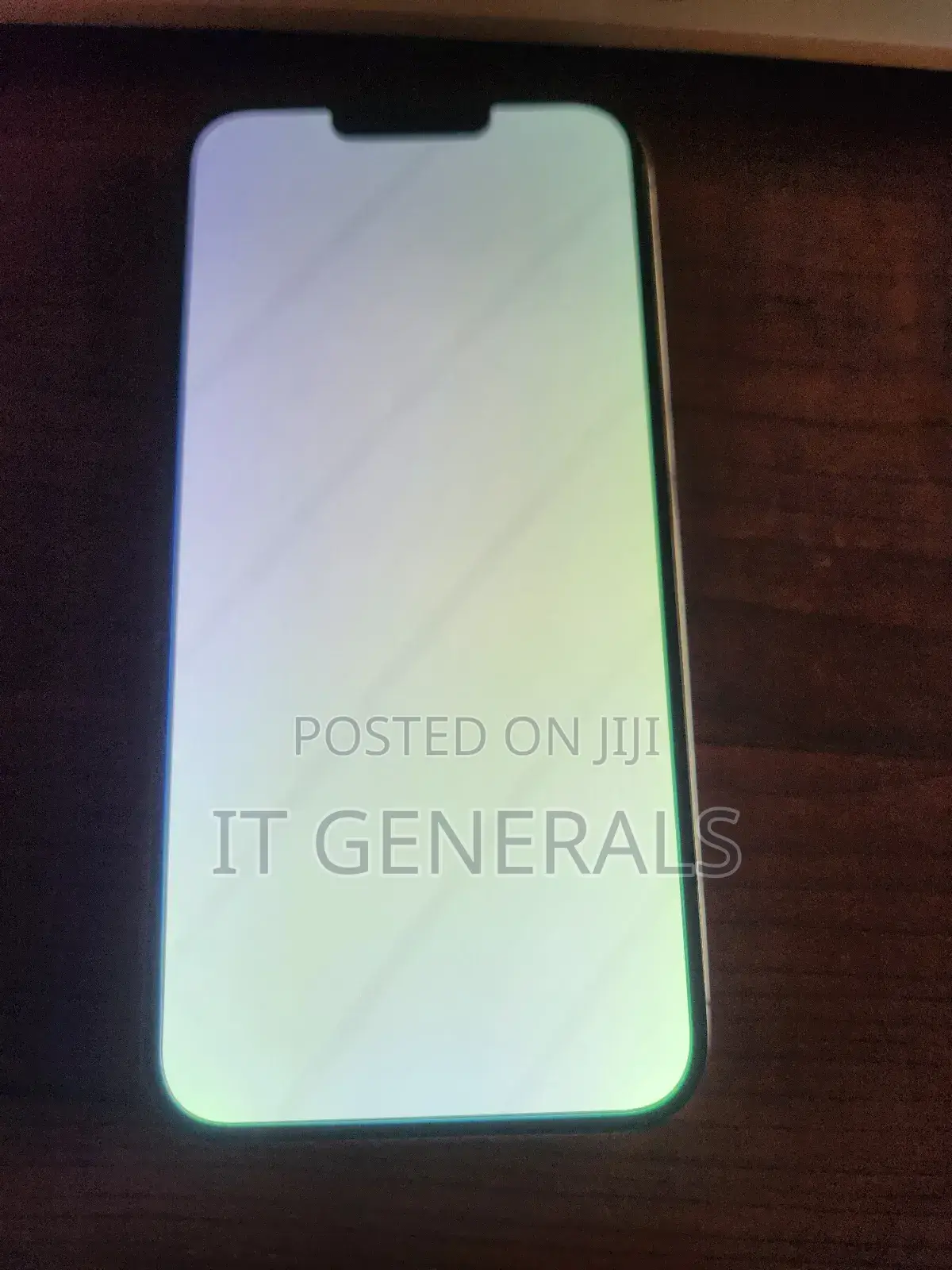 iPhone 13 Pro Max White Screen Fix