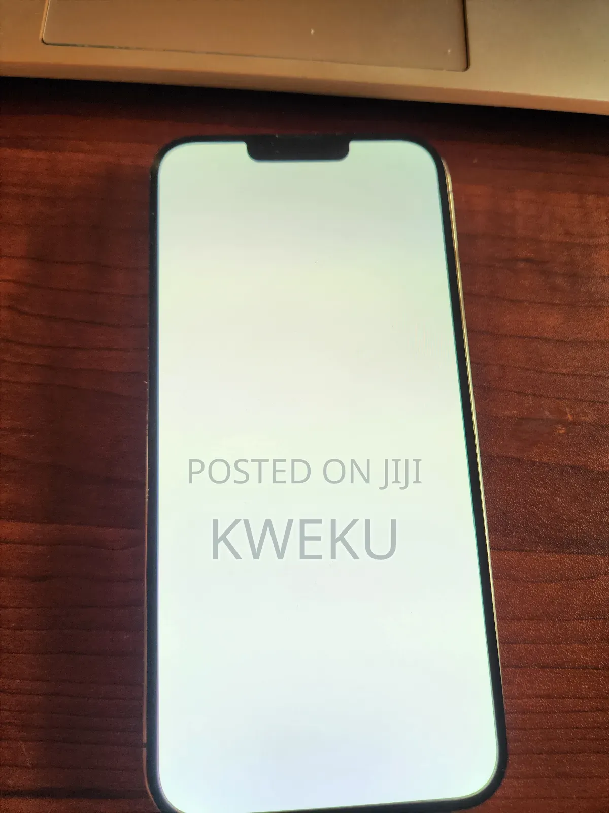 iPhone 13 Pro Max White Screen Fix
