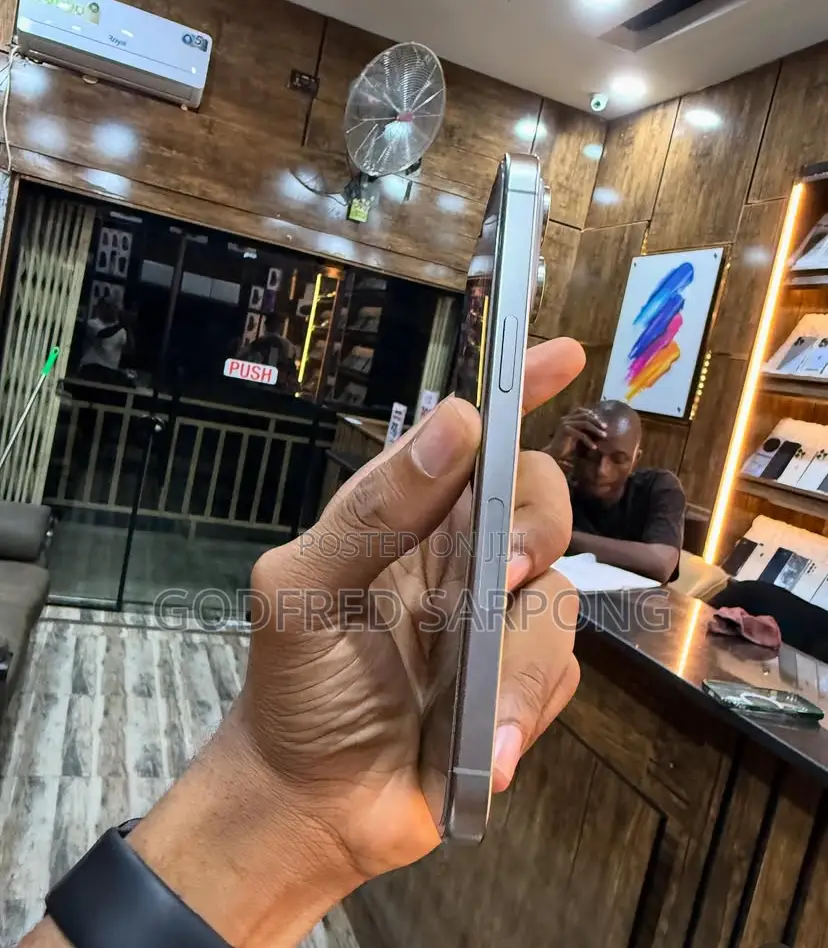 Apple iPhone 15 Pro Max 256 GB Silver