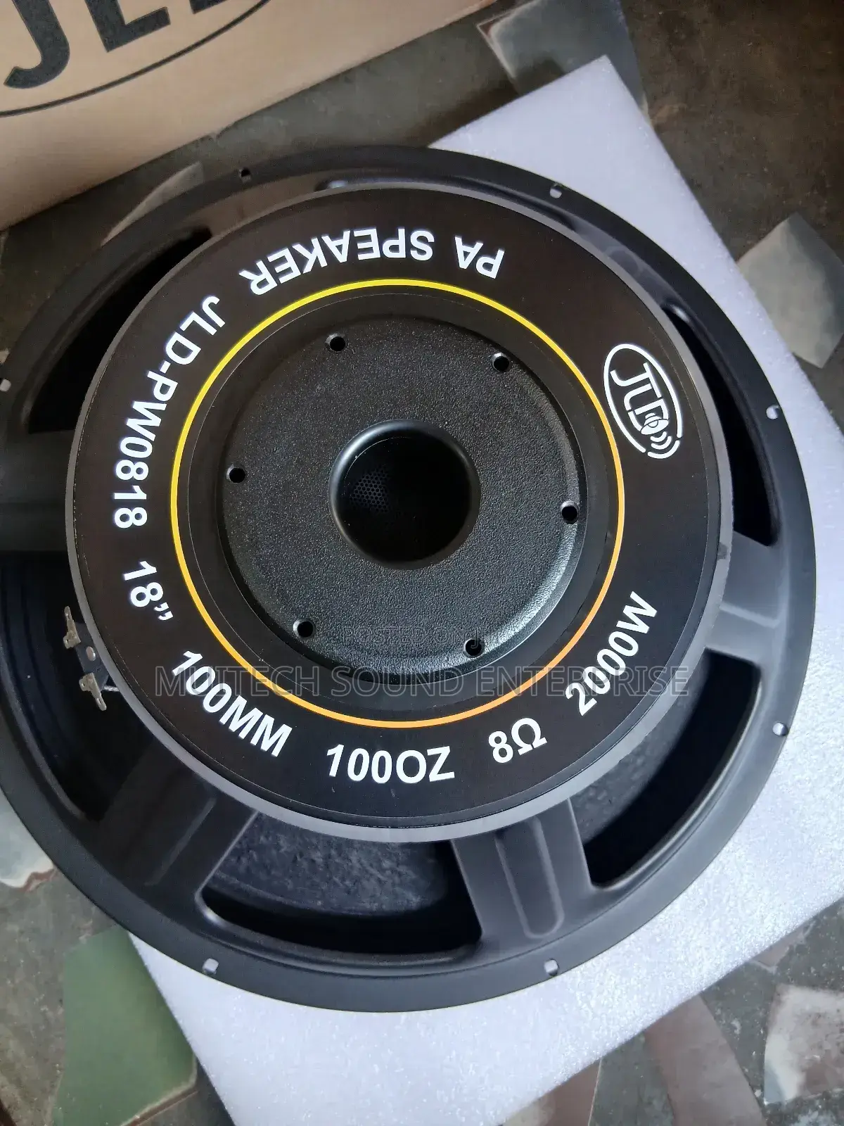 Single Magnet Naked Speaker ( 18 Inches)