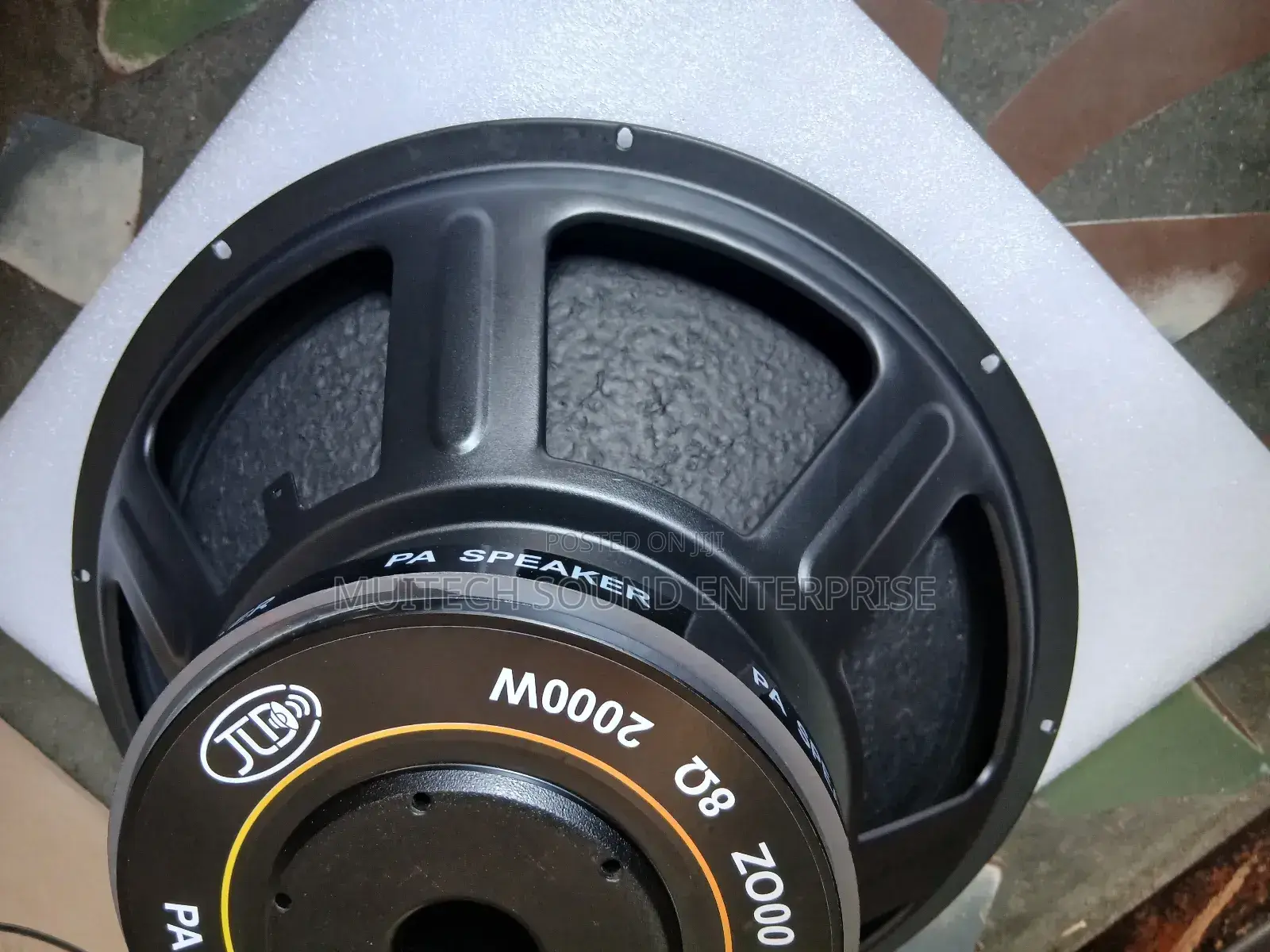Single Magnet Naked Speaker ( 18 Inches)
