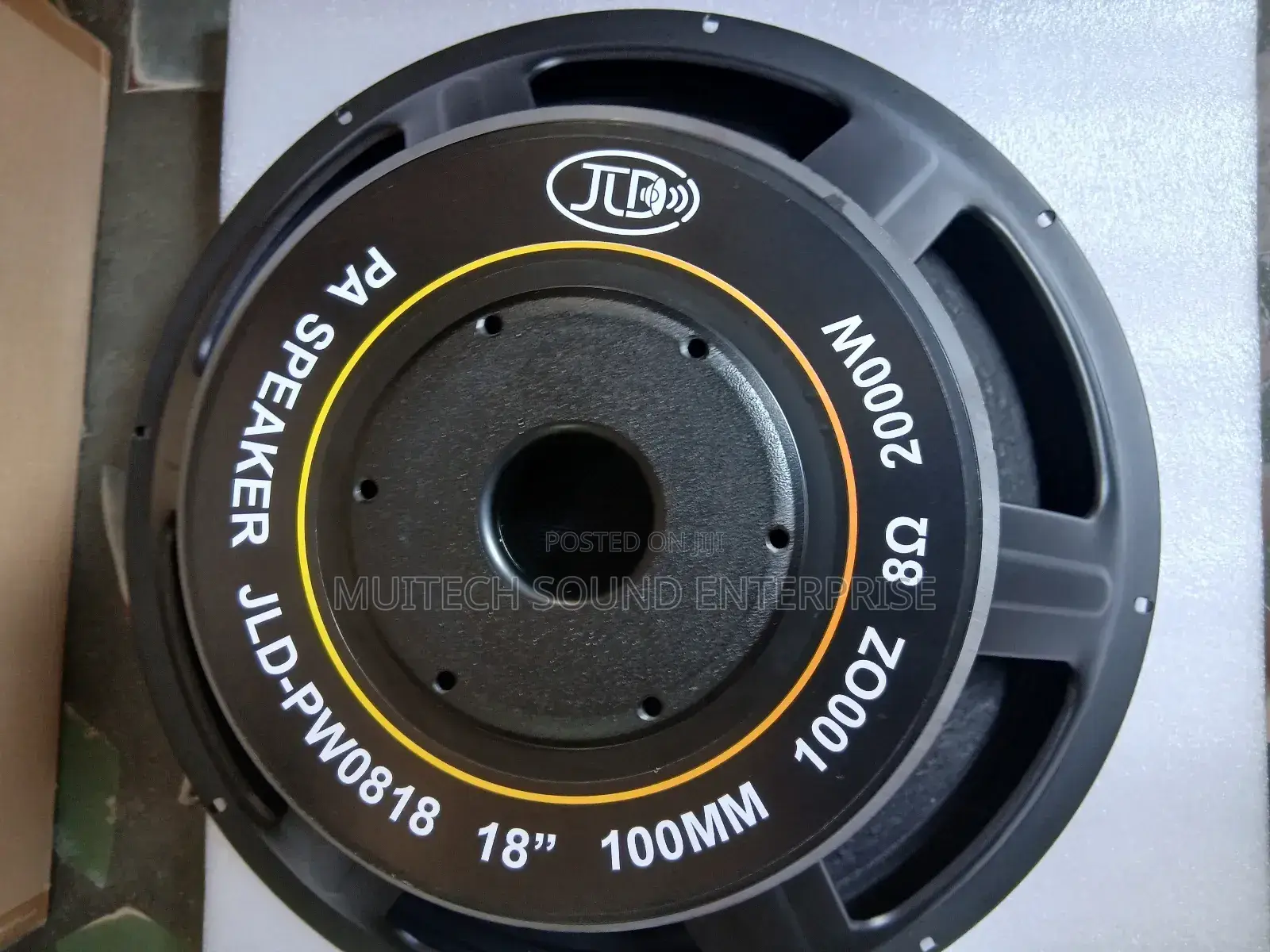 Single Magnet Naked Speaker ( 18 Inches)
