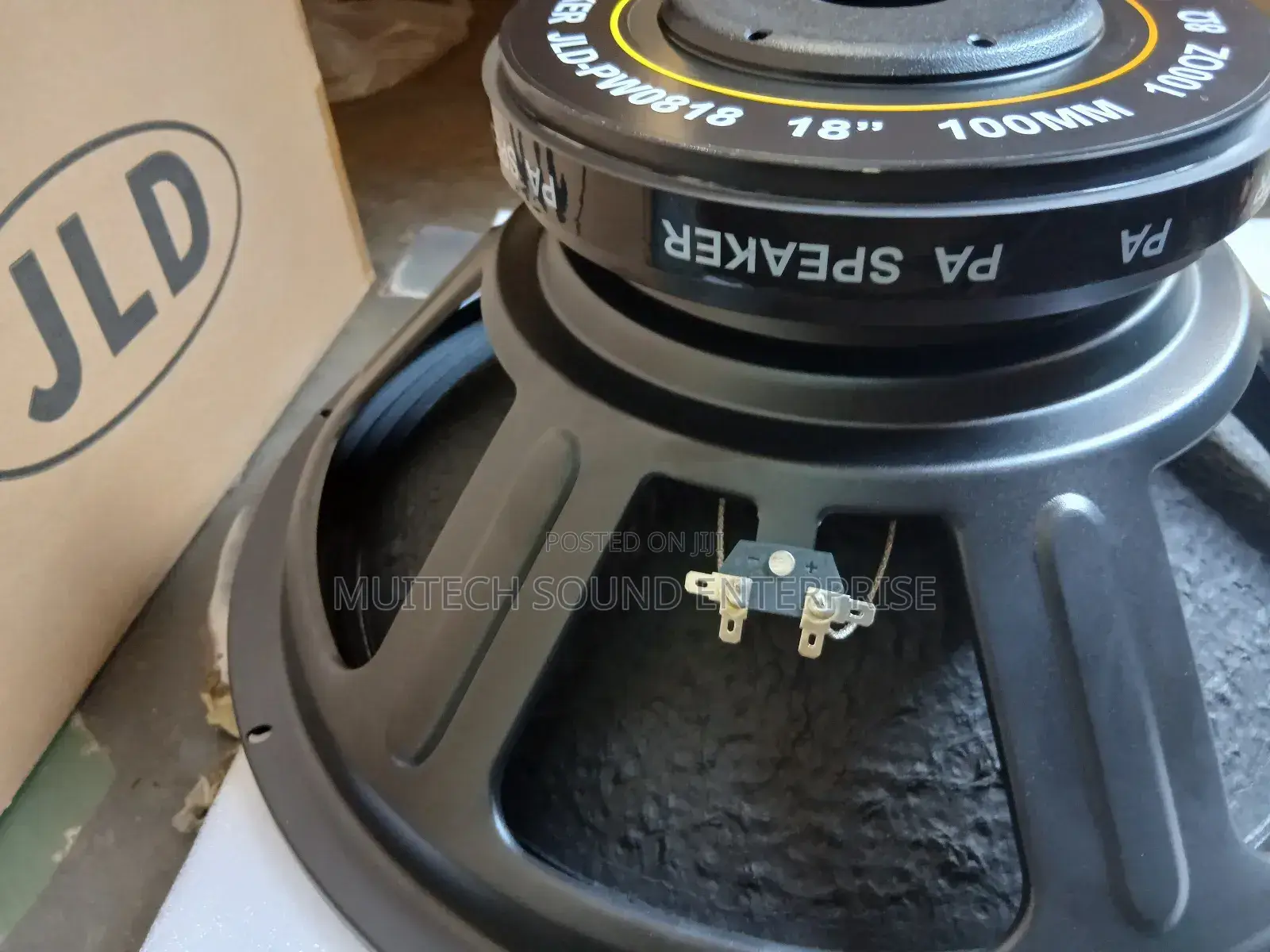 Single Magnet Naked Speaker ( 18 Inches)