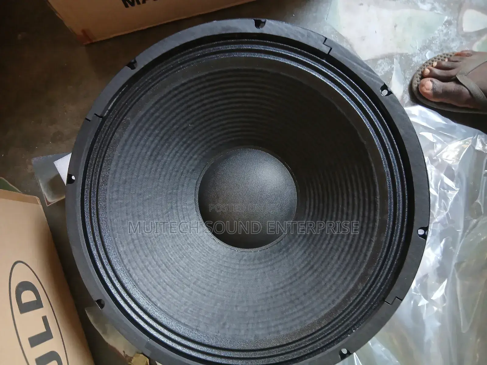 Single Magnet Naked Speaker ( 18 Inches)