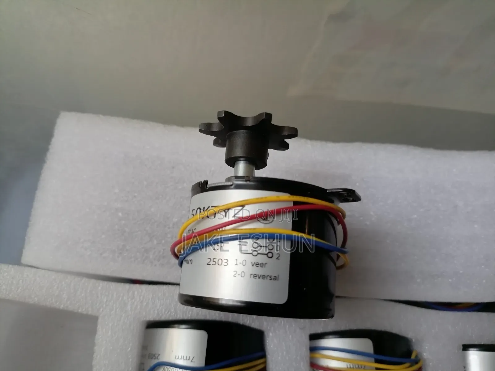 6w Turner Motor