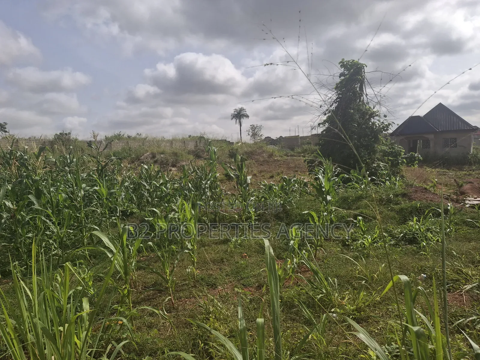 Land for Sale in Atwima Boko