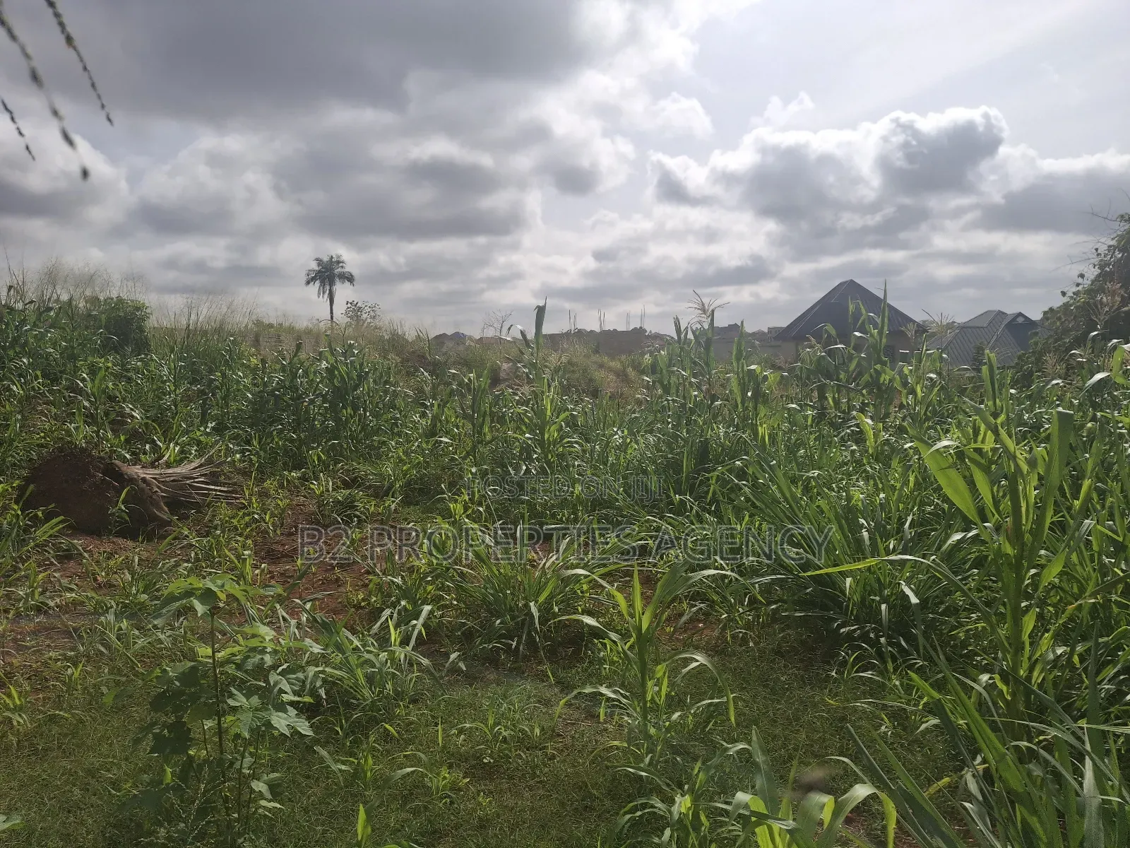 Land for Sale in Atwima Boko