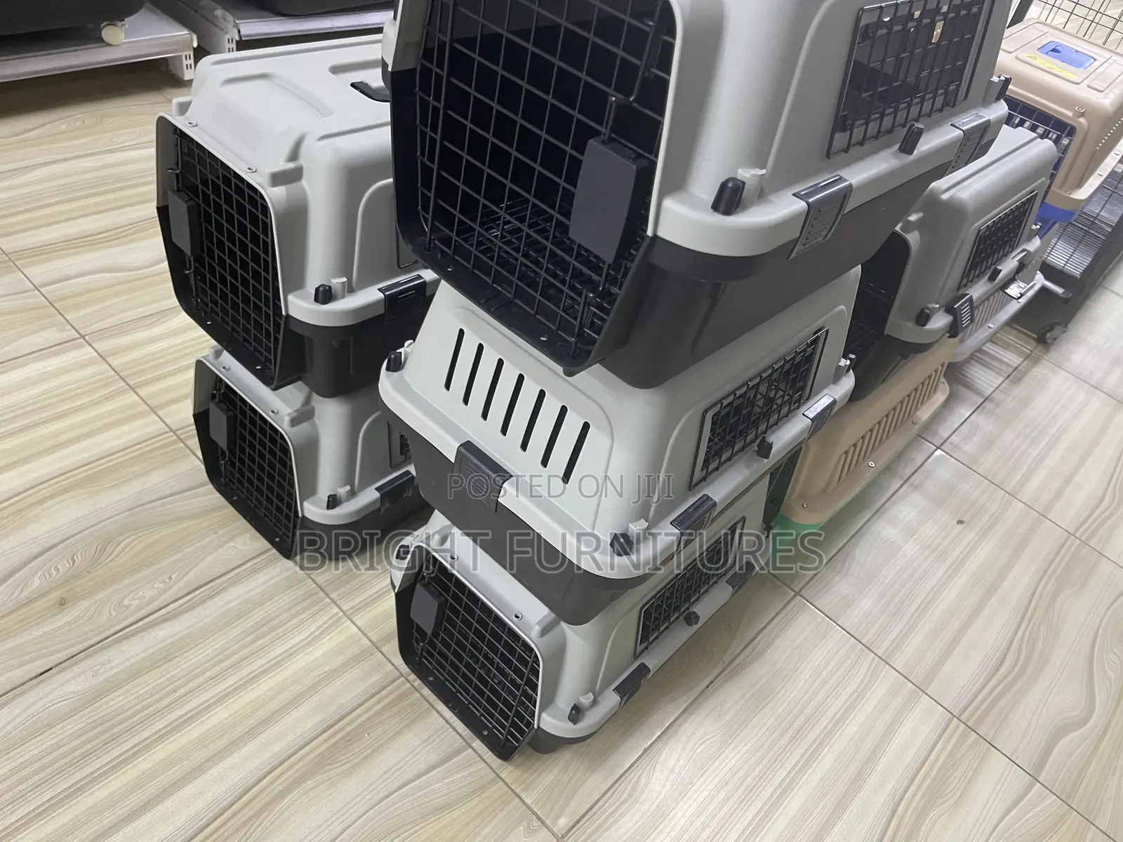 Dog Flight Case