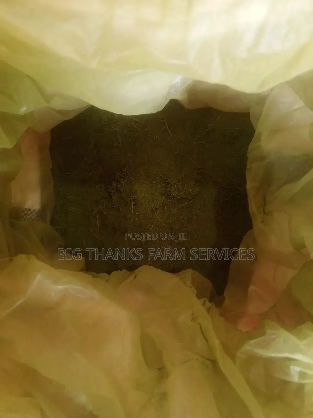 Moringa Leaf Powder for Animals Feeds