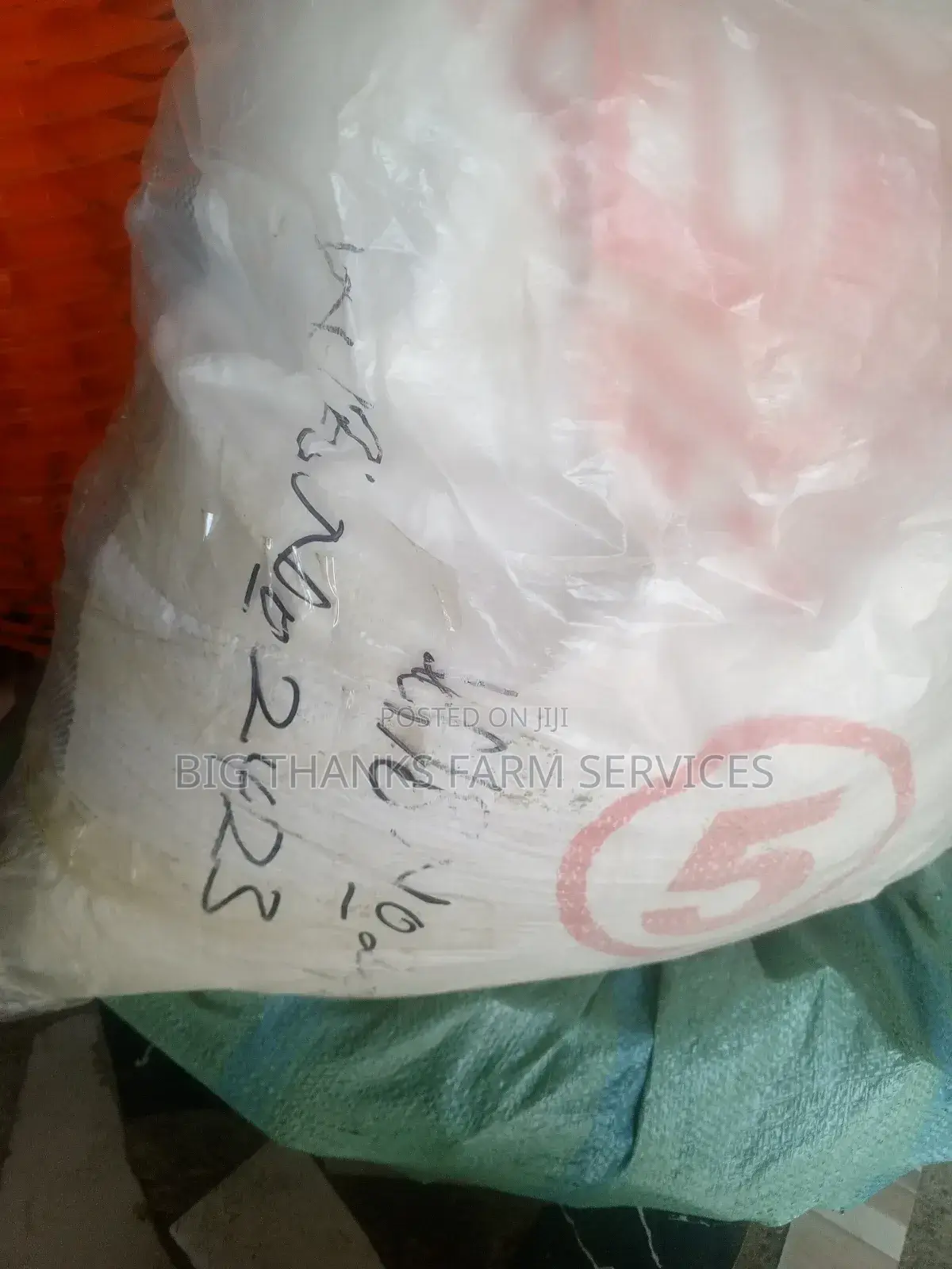 Moringa Leaf Powder for Animals Feeds