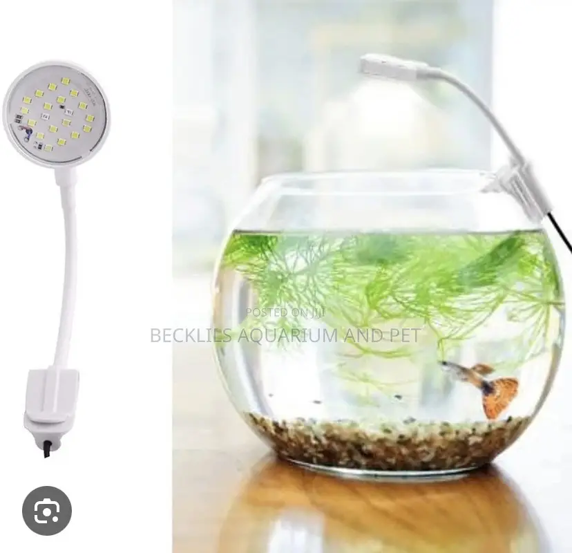 Aquarium Fish Bowl Light