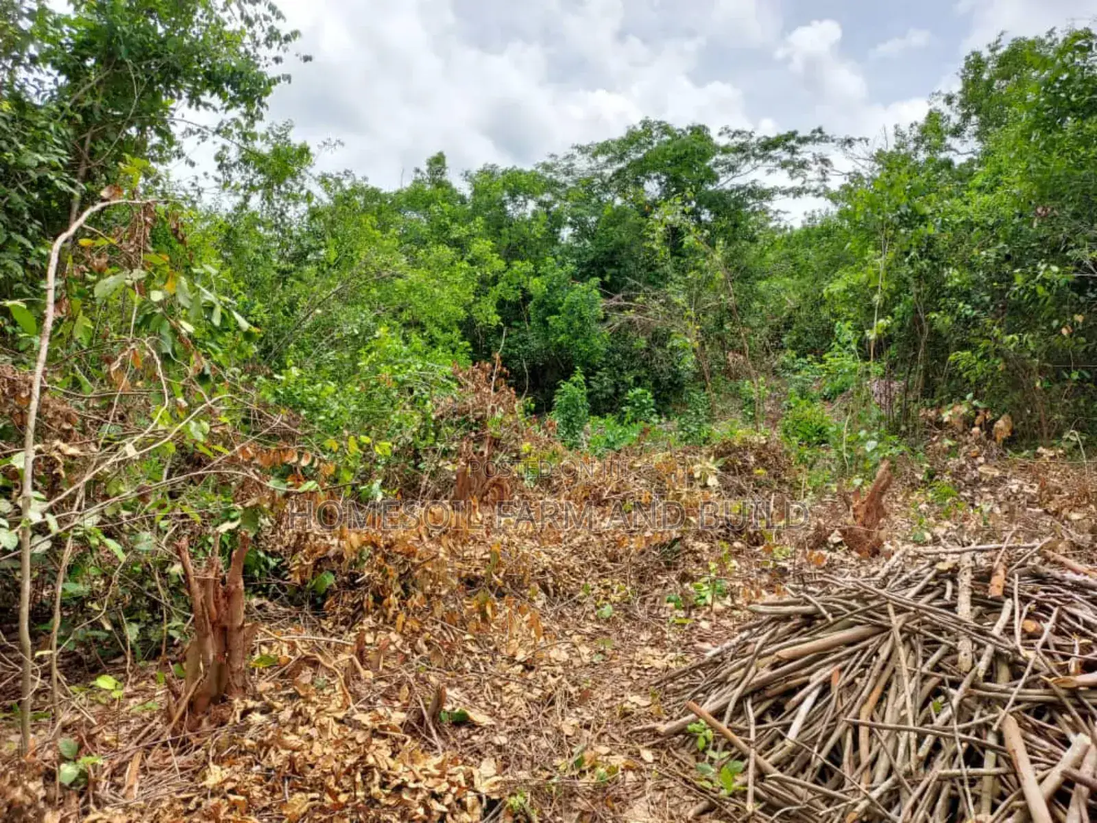 2 Acres Roadside (Main Highway) Residential/Commercial Land