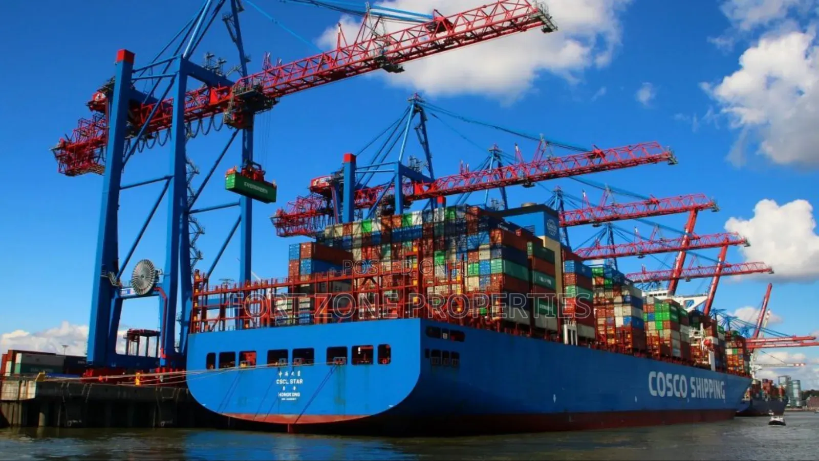 Mediterranean Shipping Fumigation Service With Cleantex