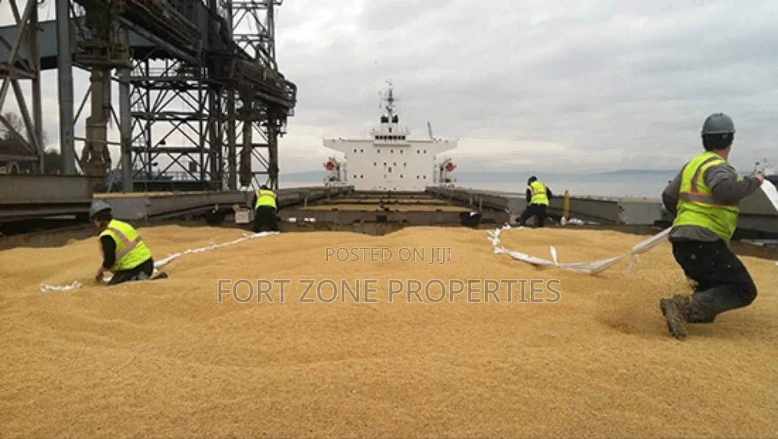 Mediterranean Shipping Fumigation Service With Cleantex