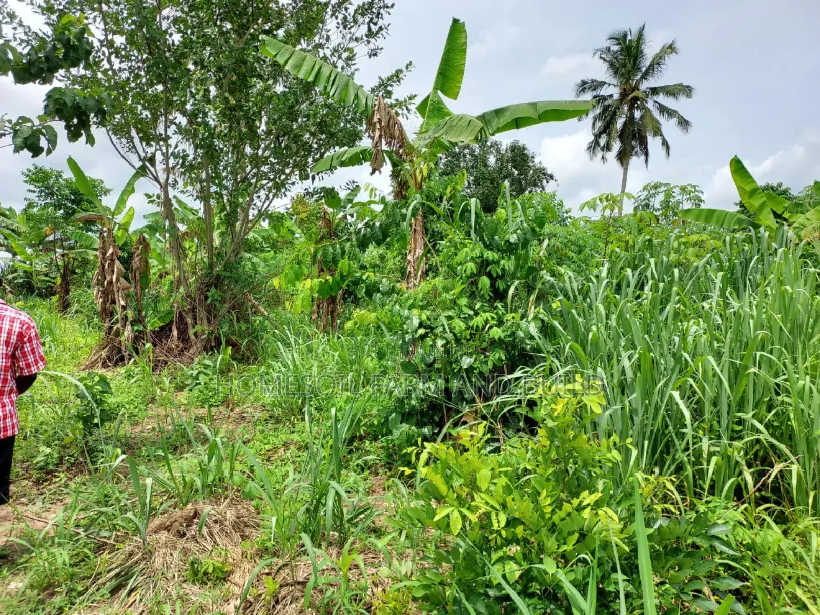 2 Plots of Litigation-Free, Strategically Located Land
