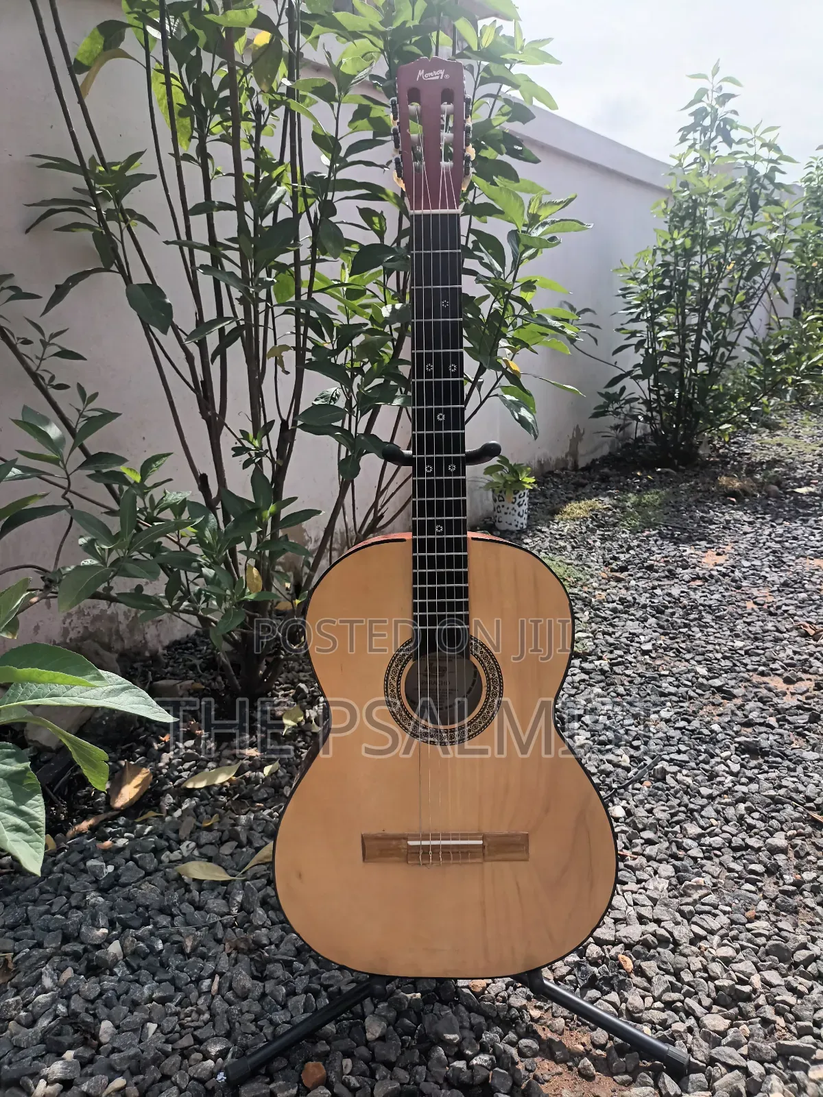 Classical Guitar Palma,Hohner, Monroy,Cantabelisson