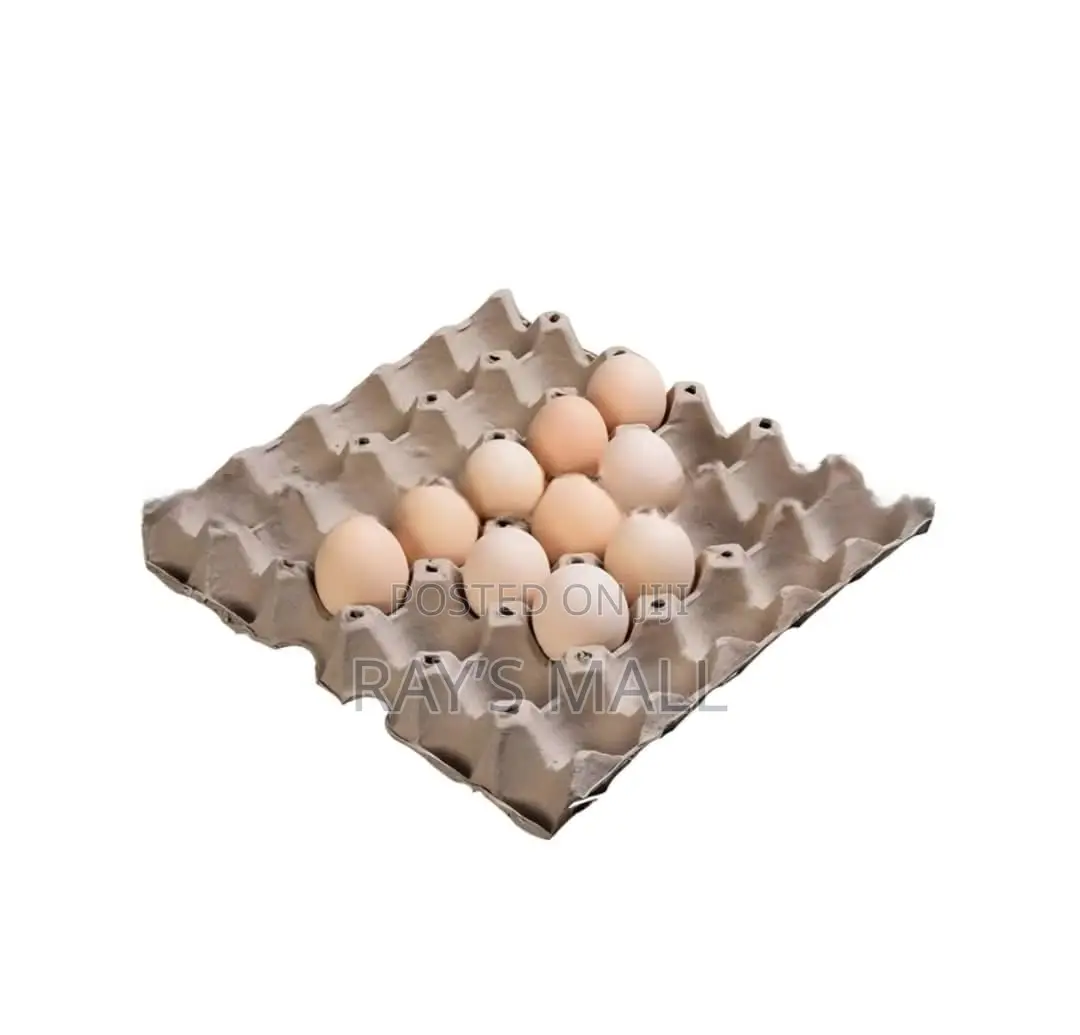 Paper Egg Crate
