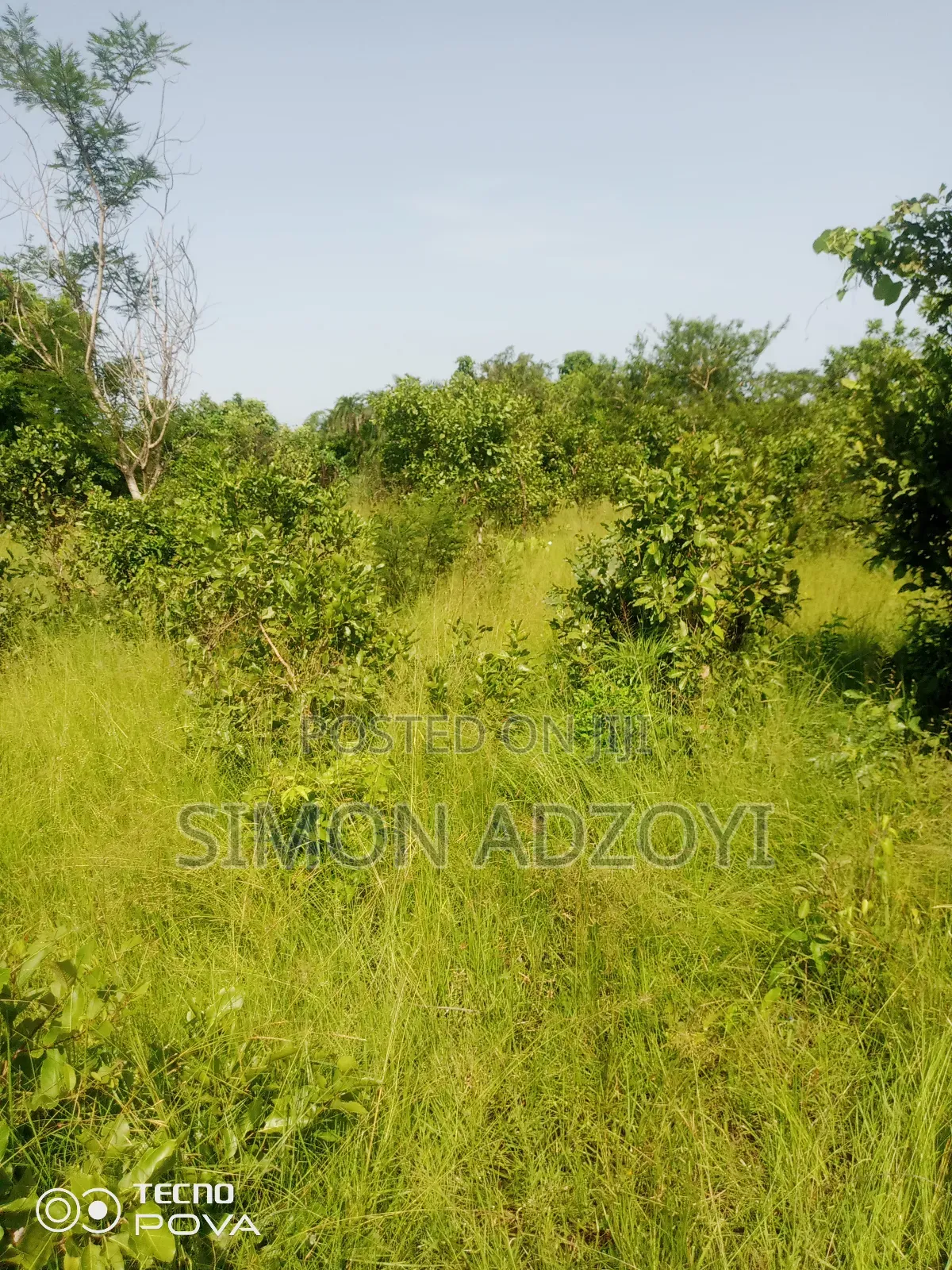 Full Registered Off 10 Acres of Land