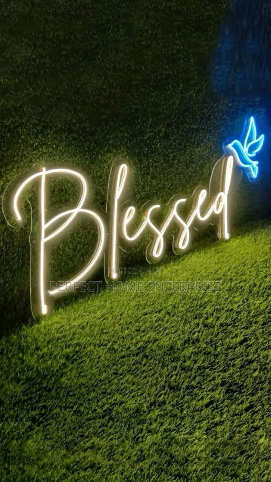 Neon Strip Light. 5m Long