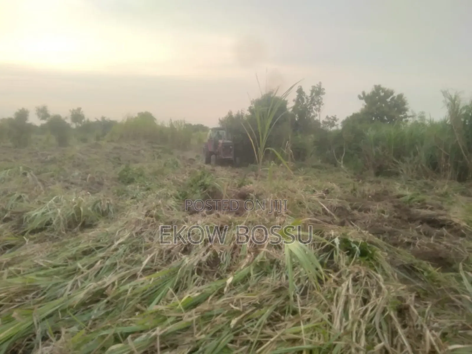 Farm Land at Asante Akyem Agogo Area