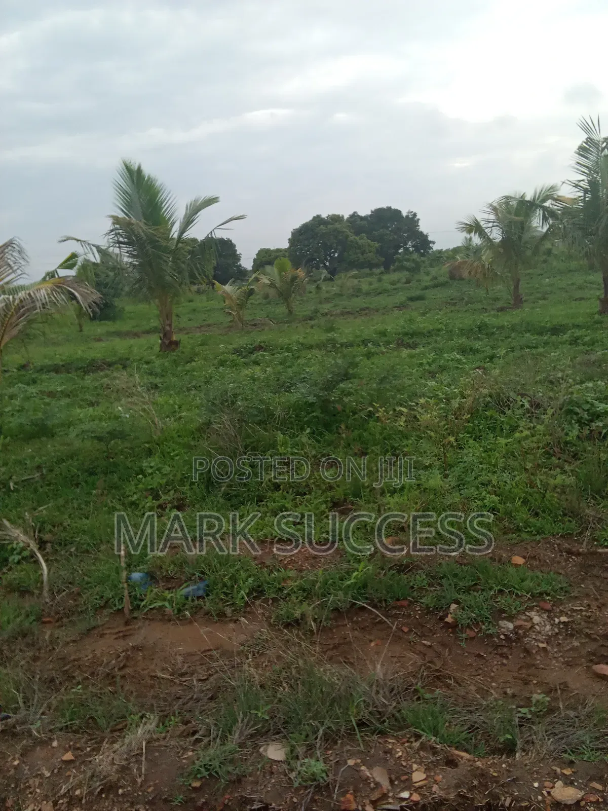 Acres of Titled Plots at Afienya -Kayokpo