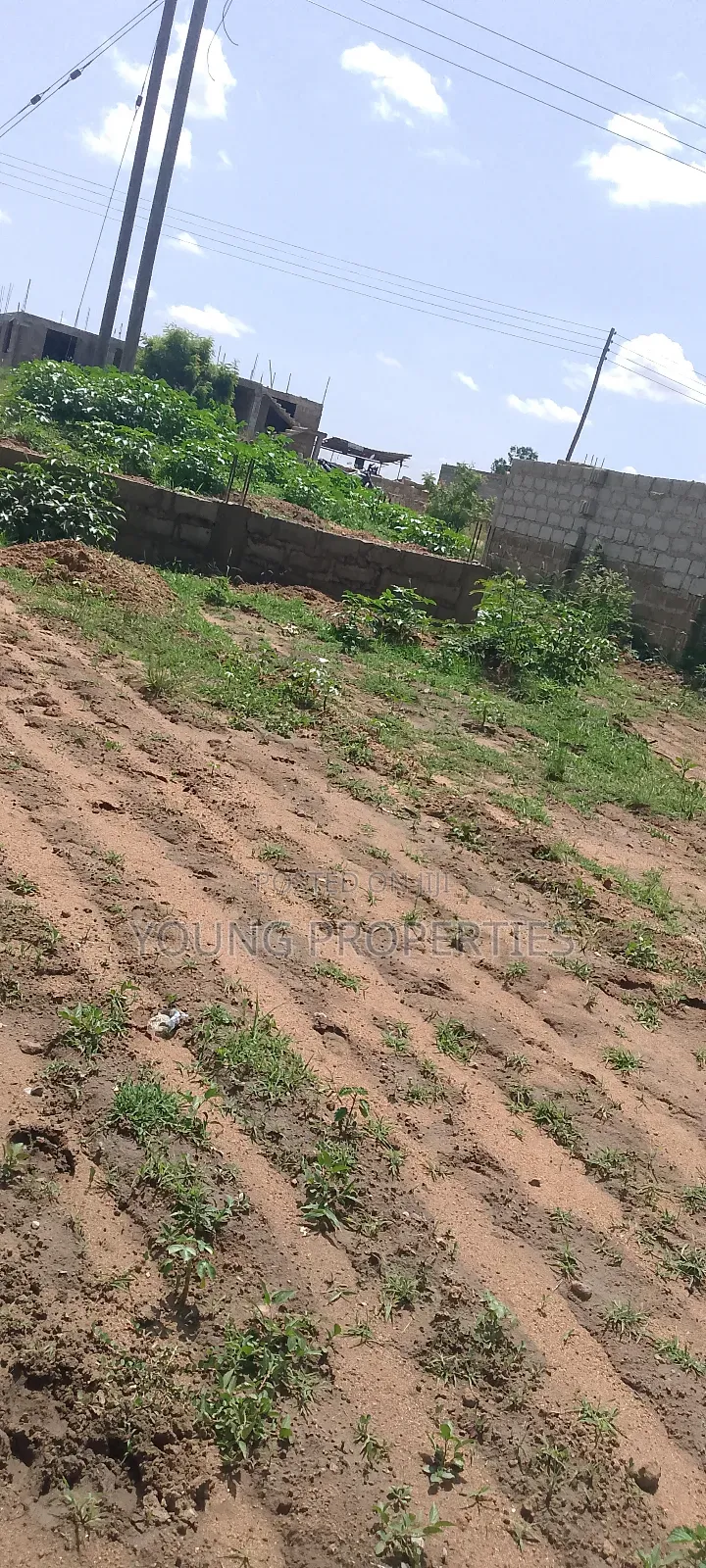 Half Plot for Sale Amasaman Domeabra for Stores