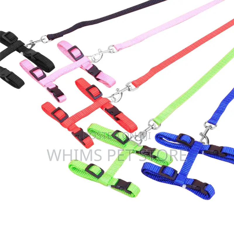 Cat Harness