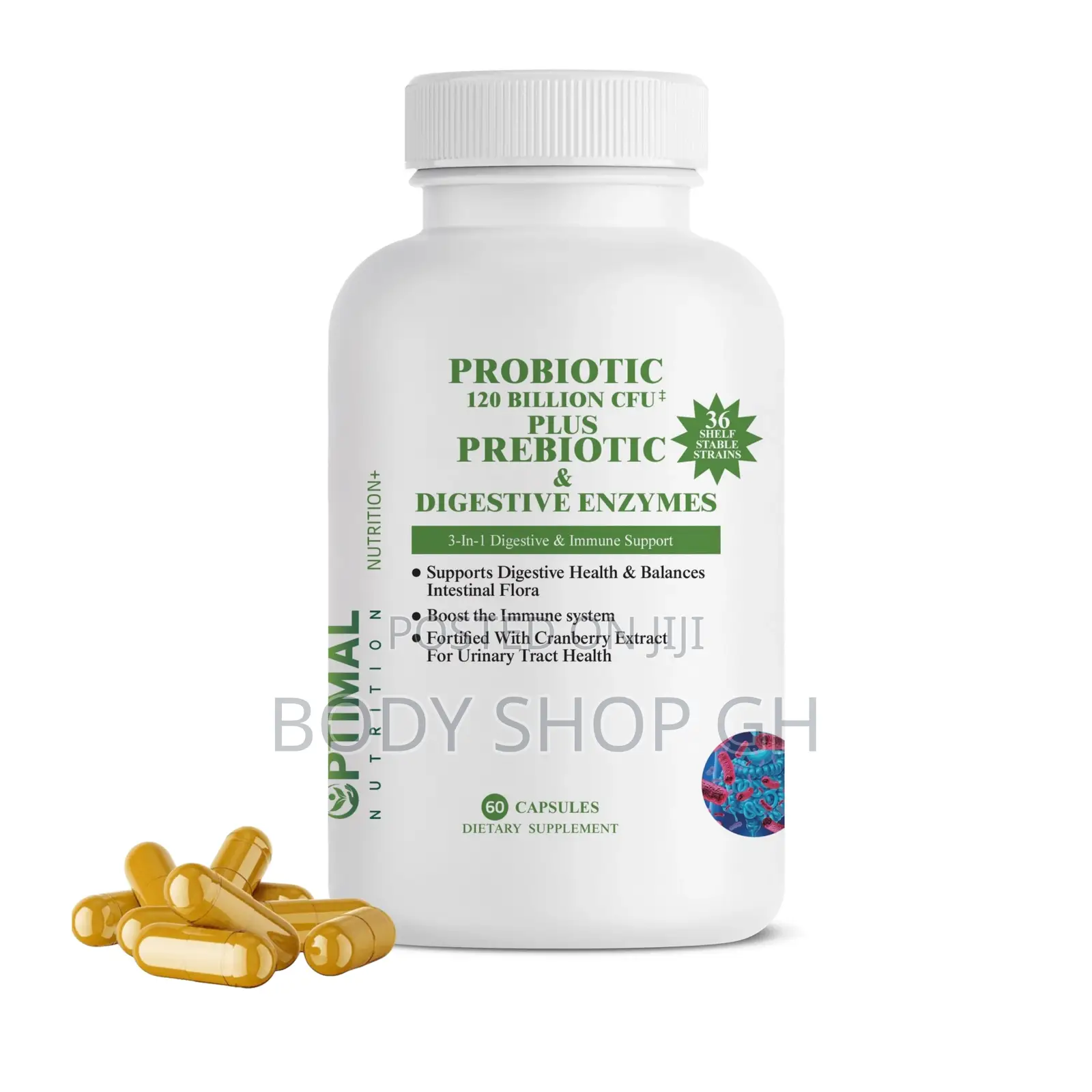 Probiotic + Prebiotic + Digestive Enzymes for Immune Support