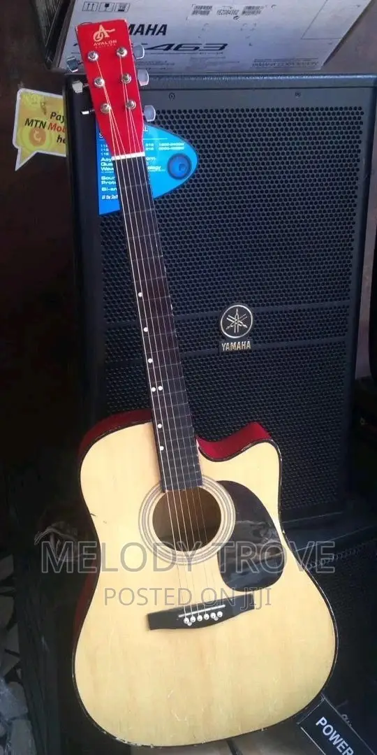 Semi-Acoustic Guitar for Sale