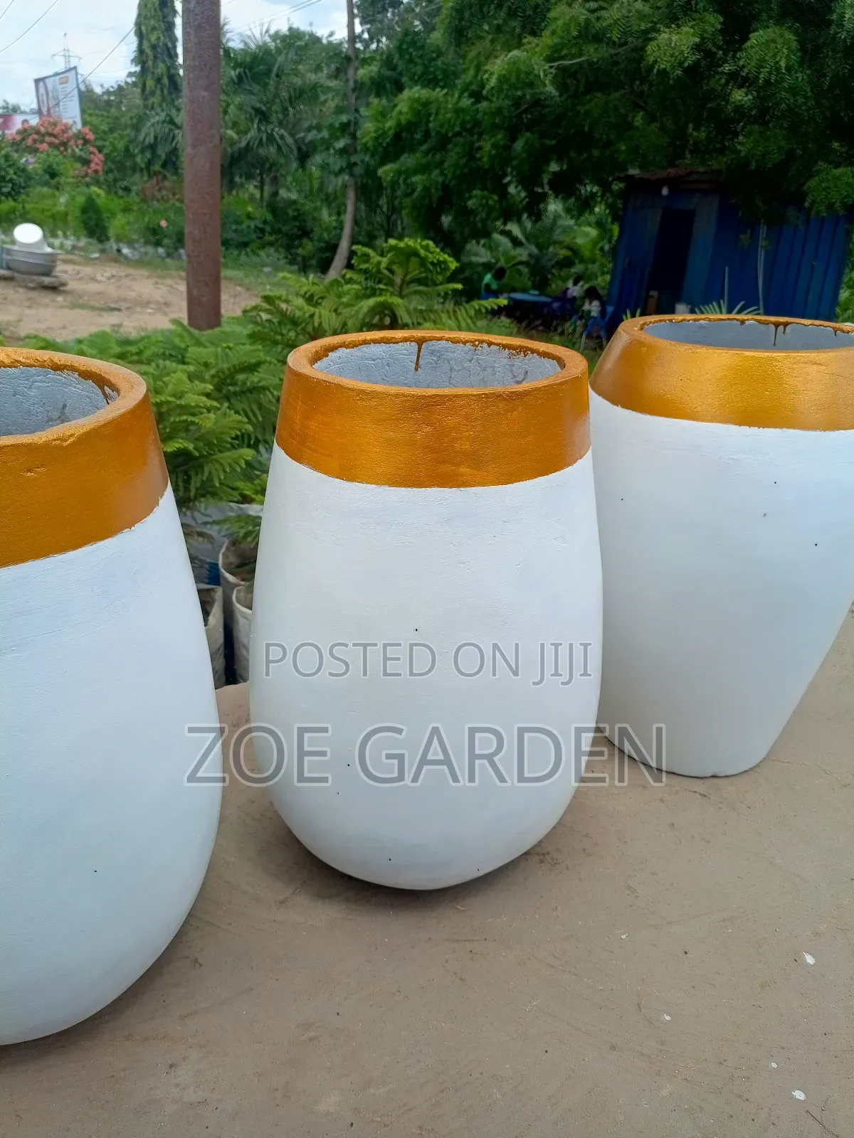 Flower Pot