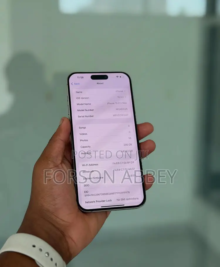 Apple iPhone 15 Pro Max 256 GB Silver