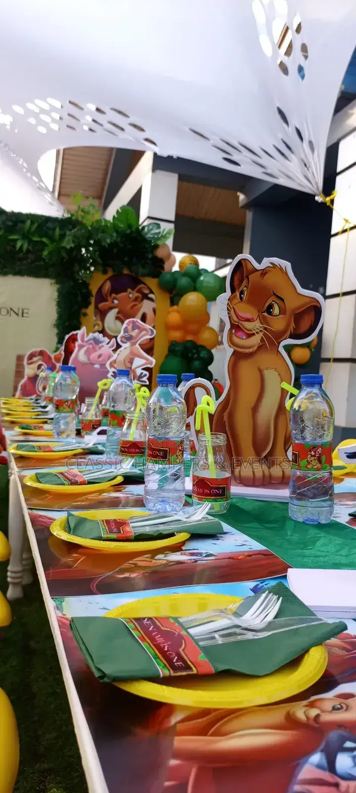 Kids Character Themed Party